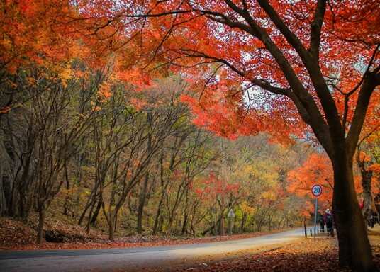 Hwagae, South Korea