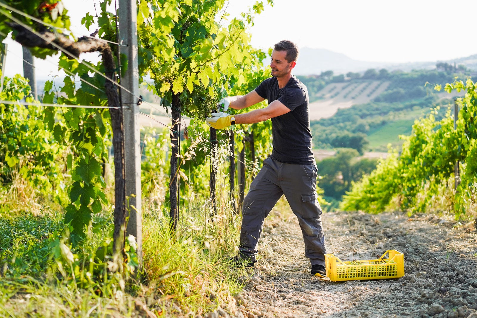 10 Best Wineries in Kelowna Where to Go in Kelowna for a Great Glass