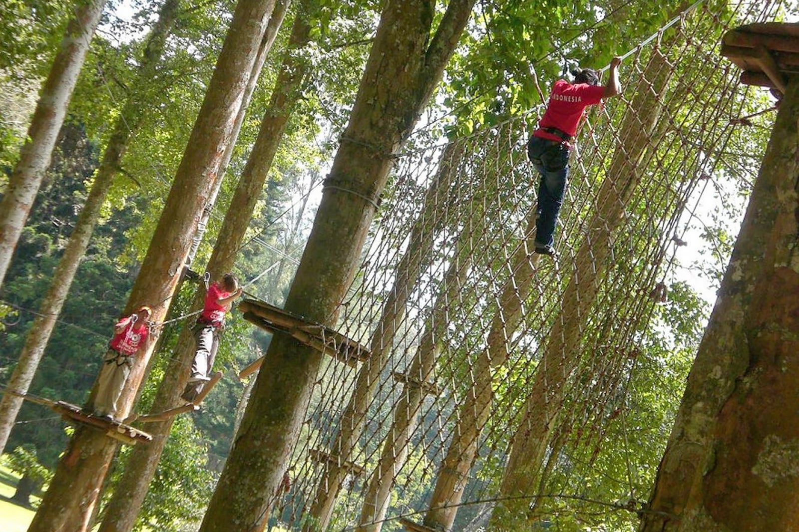 Tree Top Adventure's - Zip-Line & Climbing Park