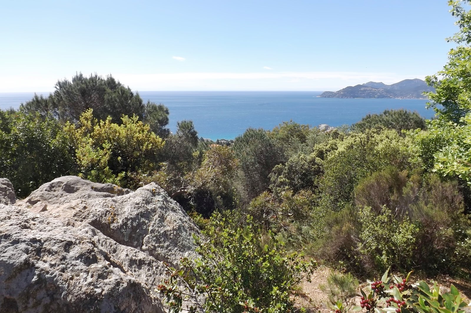 Croix des Gardes Forest Park in Cannes - View Native Wildflowers and ...