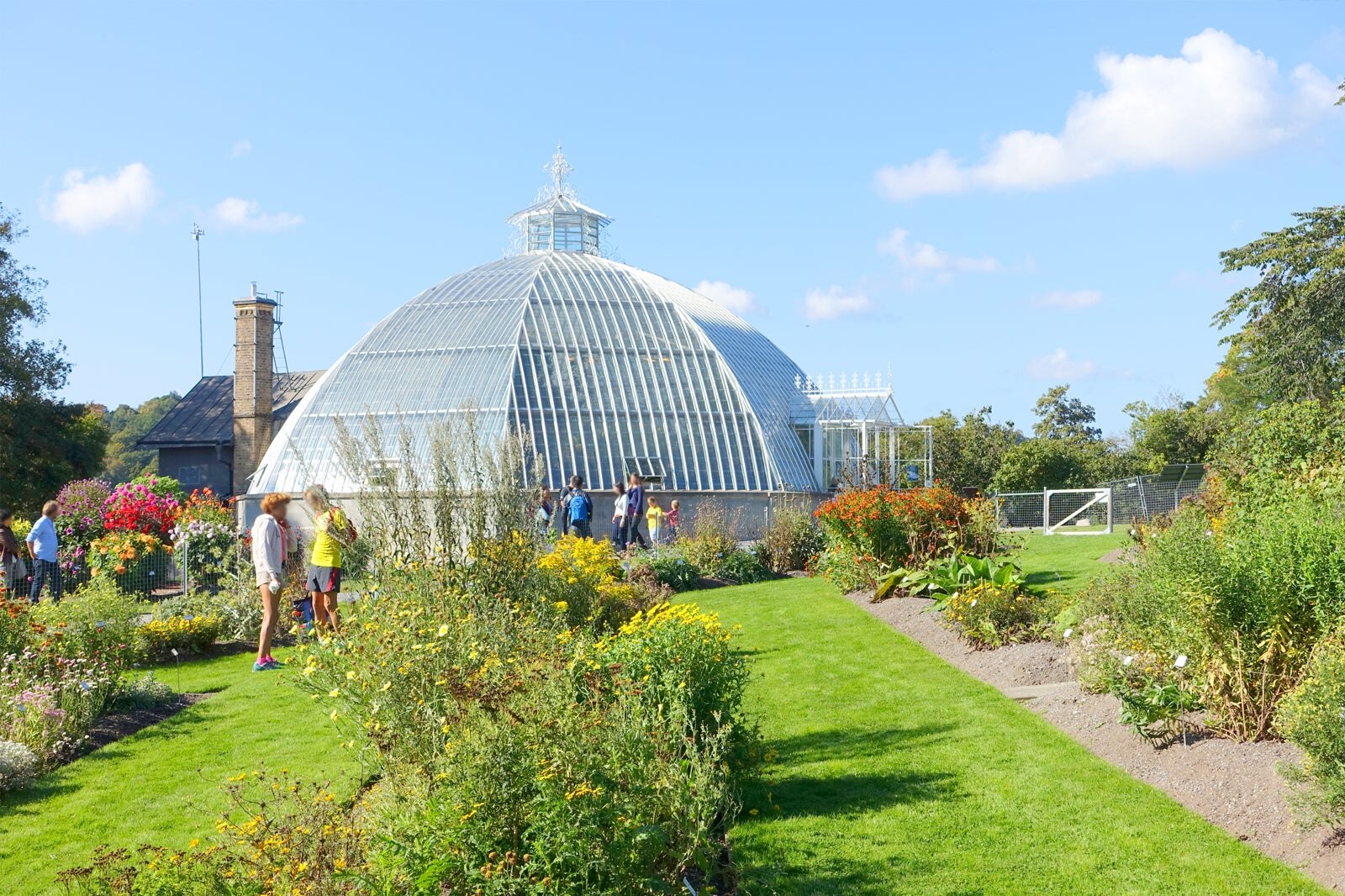 Bergianska trädgården i Stockholm Tropiska växter, ljuvliga dofter