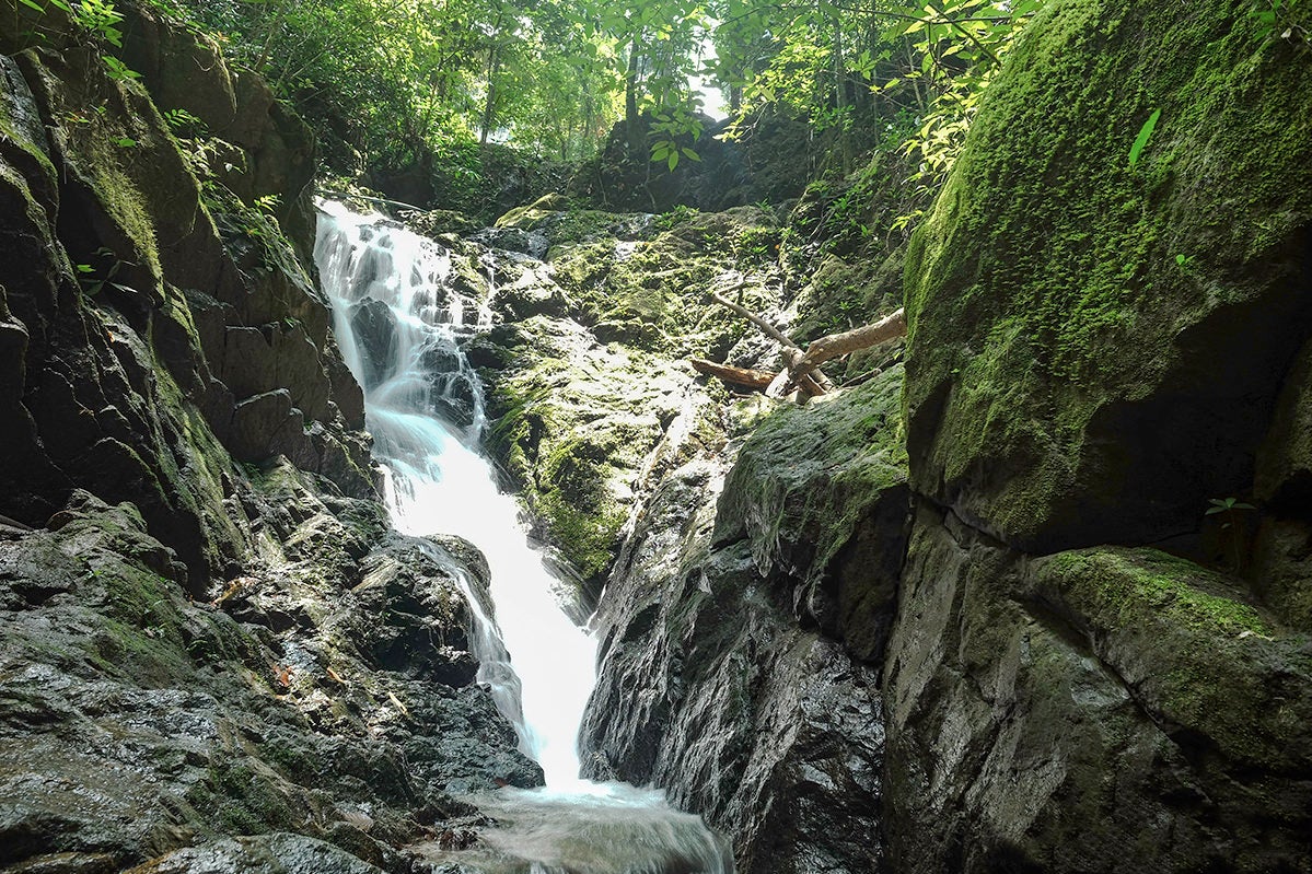 Tonsai Waterfall in Phuket - Waterfall in Phra National Park – Go Guides