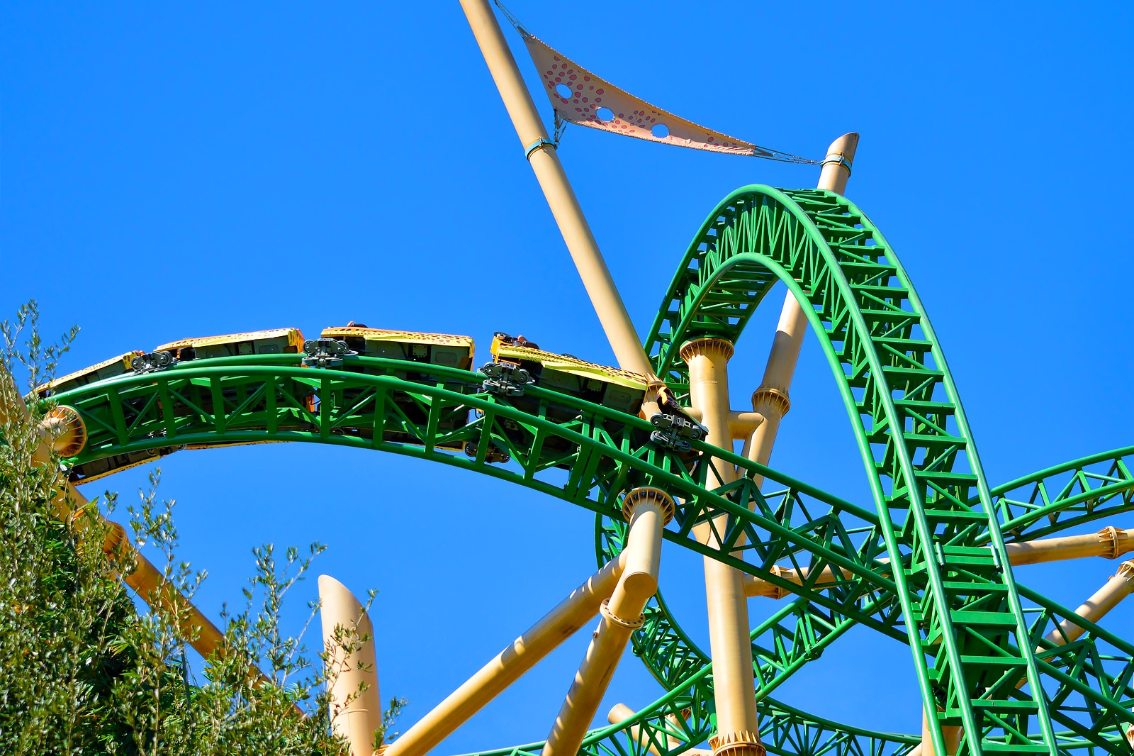 15 Best Family Things To Do In Tampa Fun Places In Tampa To Take Your 