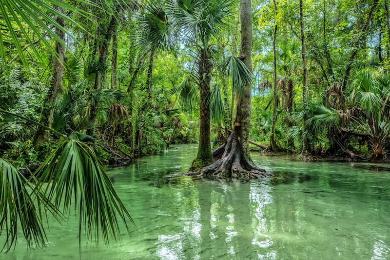 12 National Parks And Gardens Near Orlando Orlando Parks Gardens And 12-national-parks-and-gardens-near-orlando-orlando-parks-gardens-and