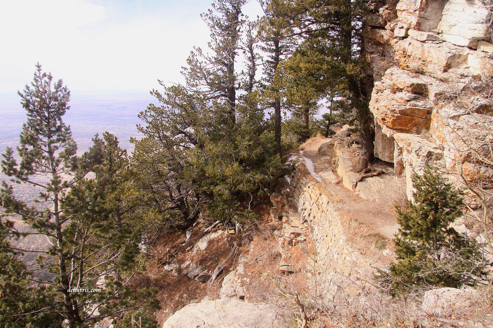 Hiking The La Luz Trail To Sandia Peak Tramway In Albuquerque, NM - No Home  Just Roam