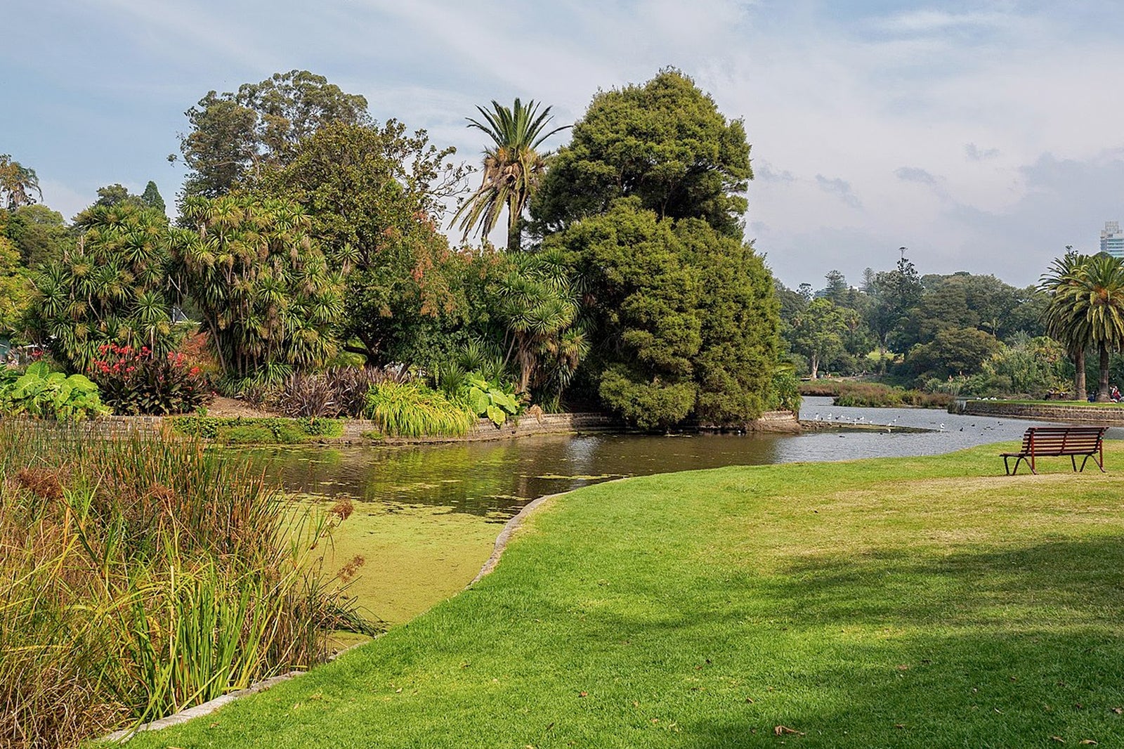 Royal Botanical Melbourne Gardens