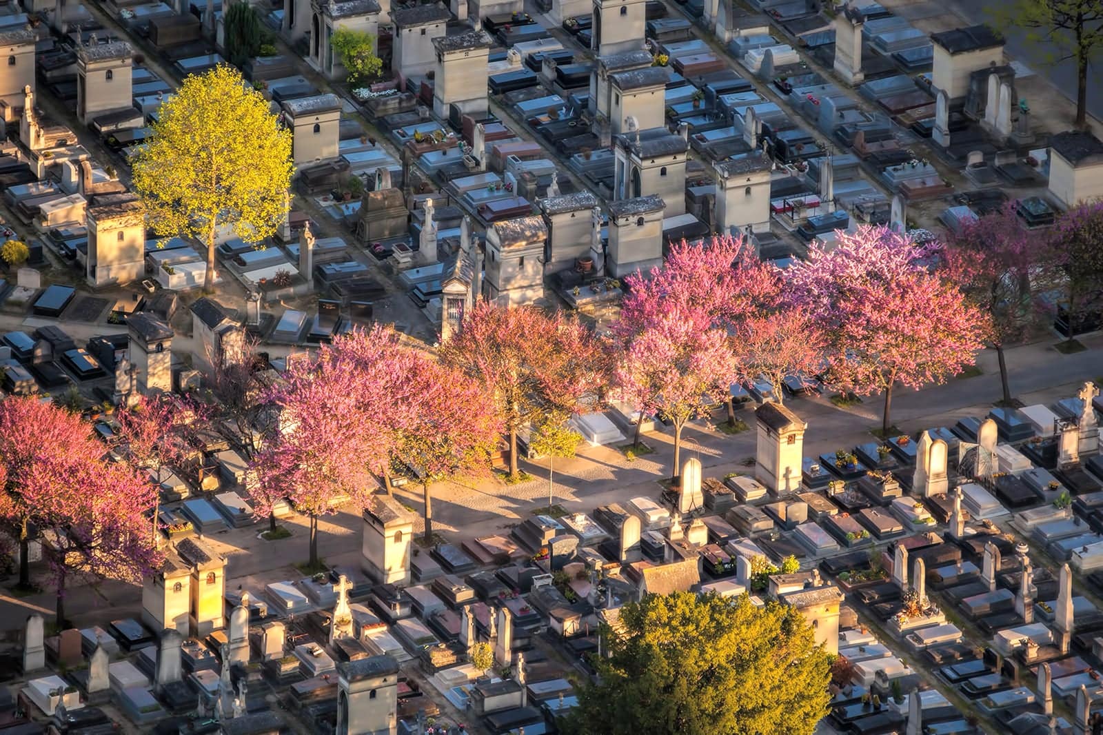Montparnasse Cemetery Explore Rows of Historic Monuments to Important