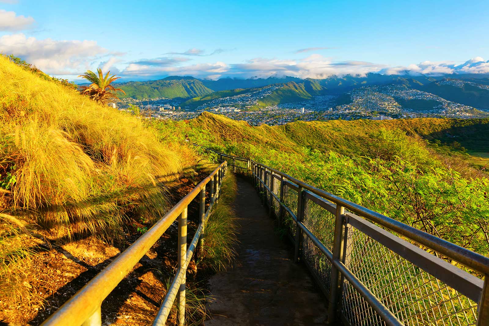 10 Best Hiking Trails in Oahu Take a Walk Around Oahu’s Most Beautiful Landscapes Go Guides