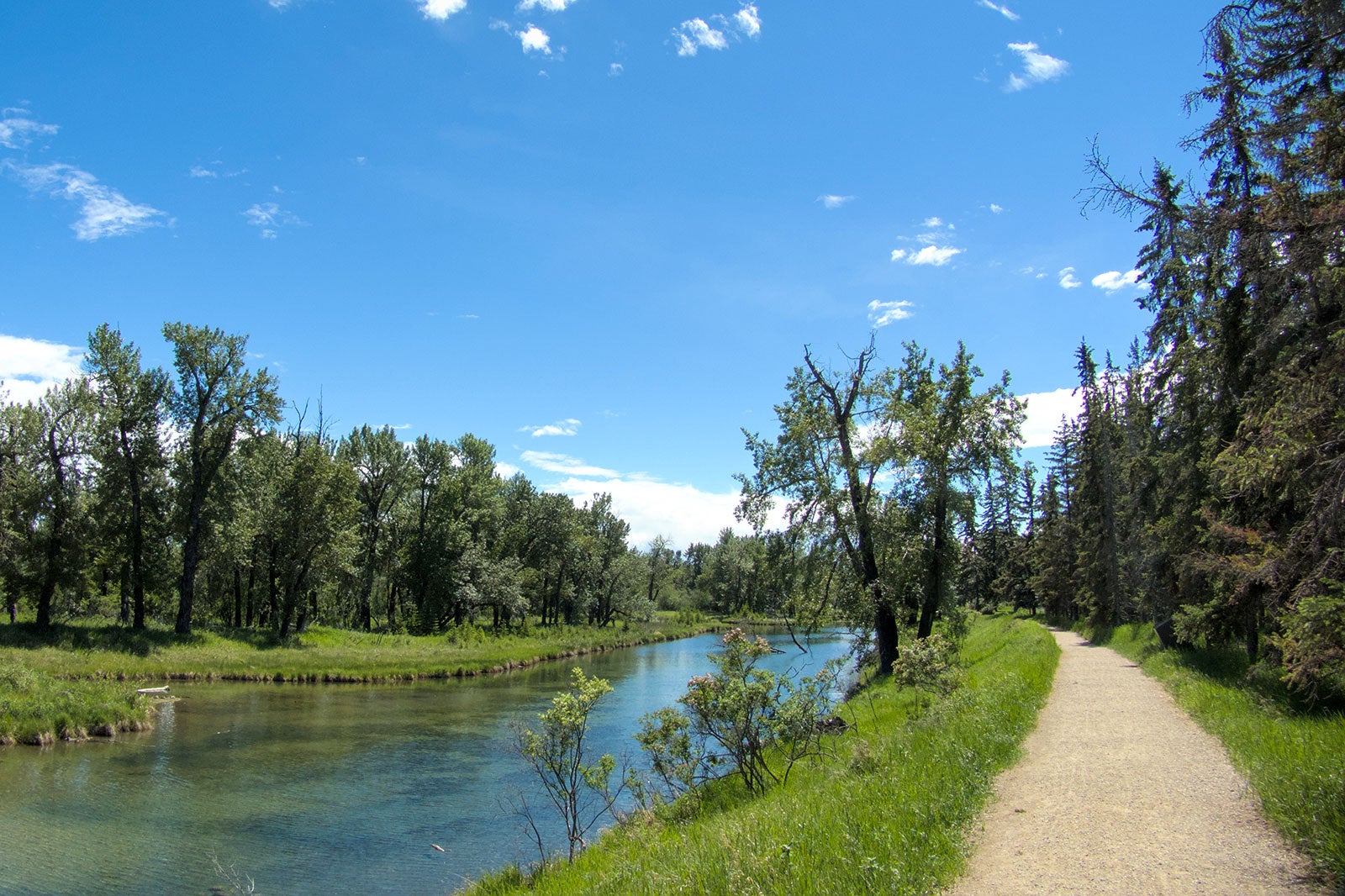 10 Most Popular Neighbourhoods in Calgary - Where to Stay in Calgary ...