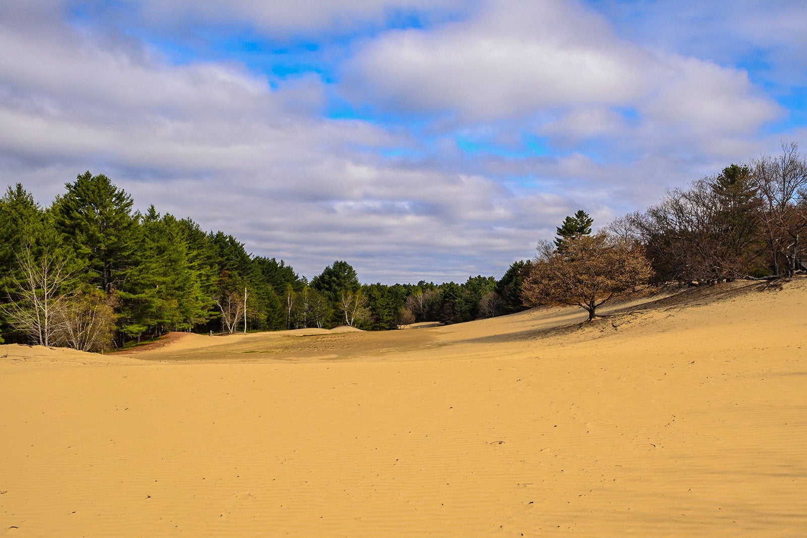 Where The Desert Meets The Sea: Maine’s Hidden Gem, The Dunes Of Maine