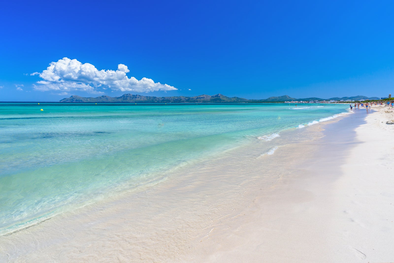 What Is Alcudia Like In Majorca At Andy Downey Blog What Is Alcudia Like In Majorca At Andy Downey Blog