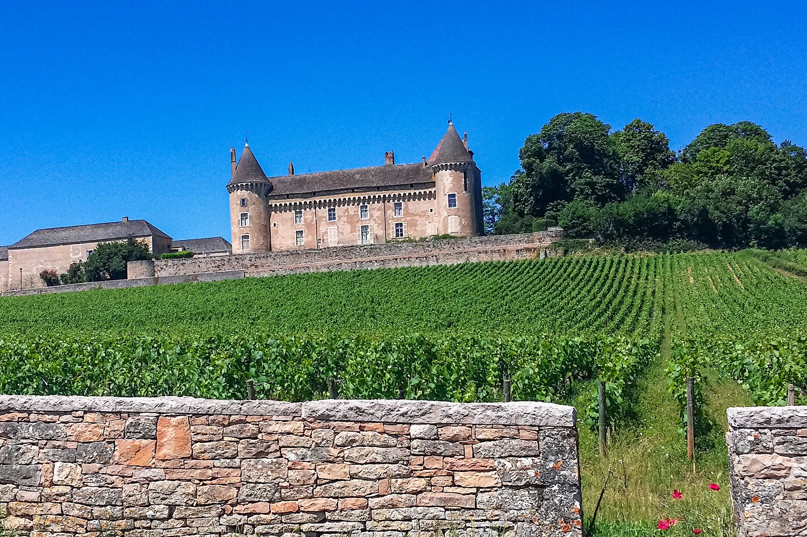 10 Best Wine Regions in France Escape to France's Most Beautiful Wine
