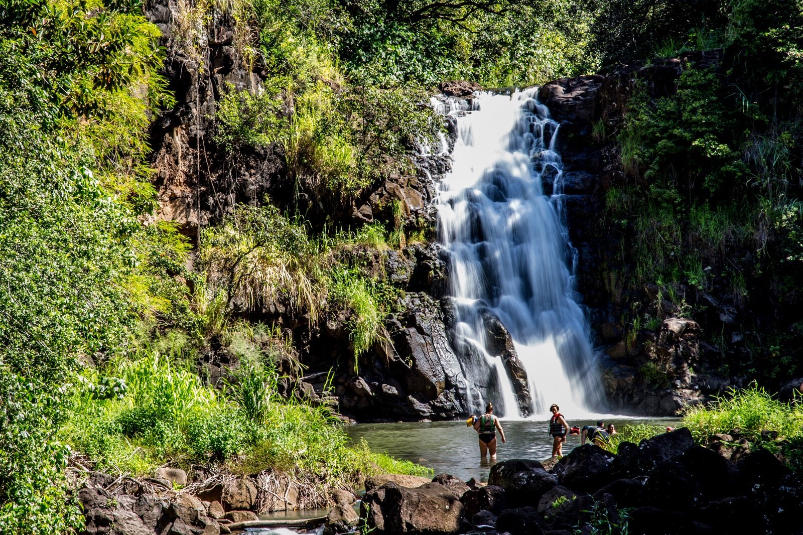 North Shore on Oahu - A Lush Coast Just 30 Minutes North of