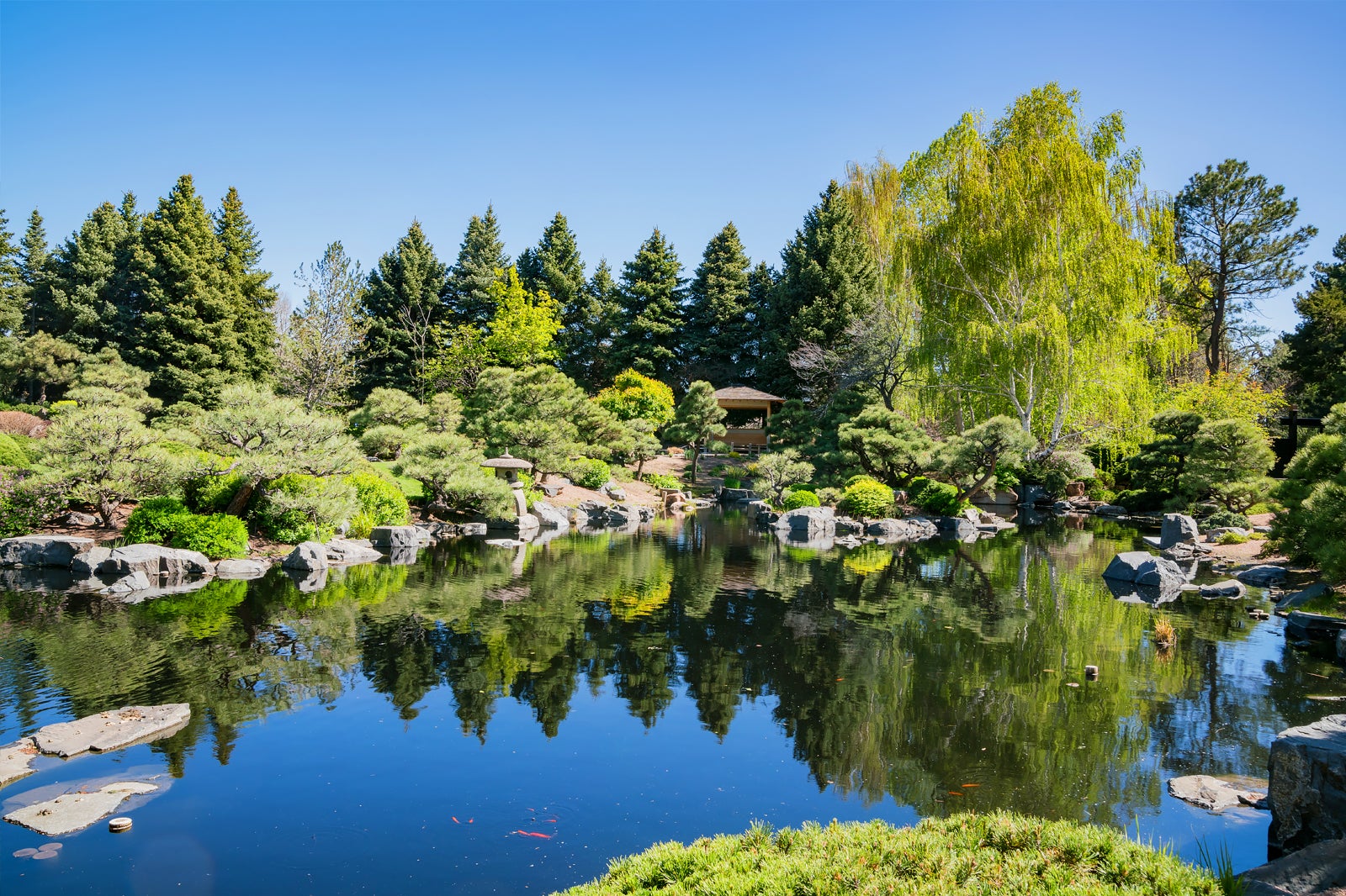 Denver Botanic Gardens Discover Vibrant Greenery Go Guides