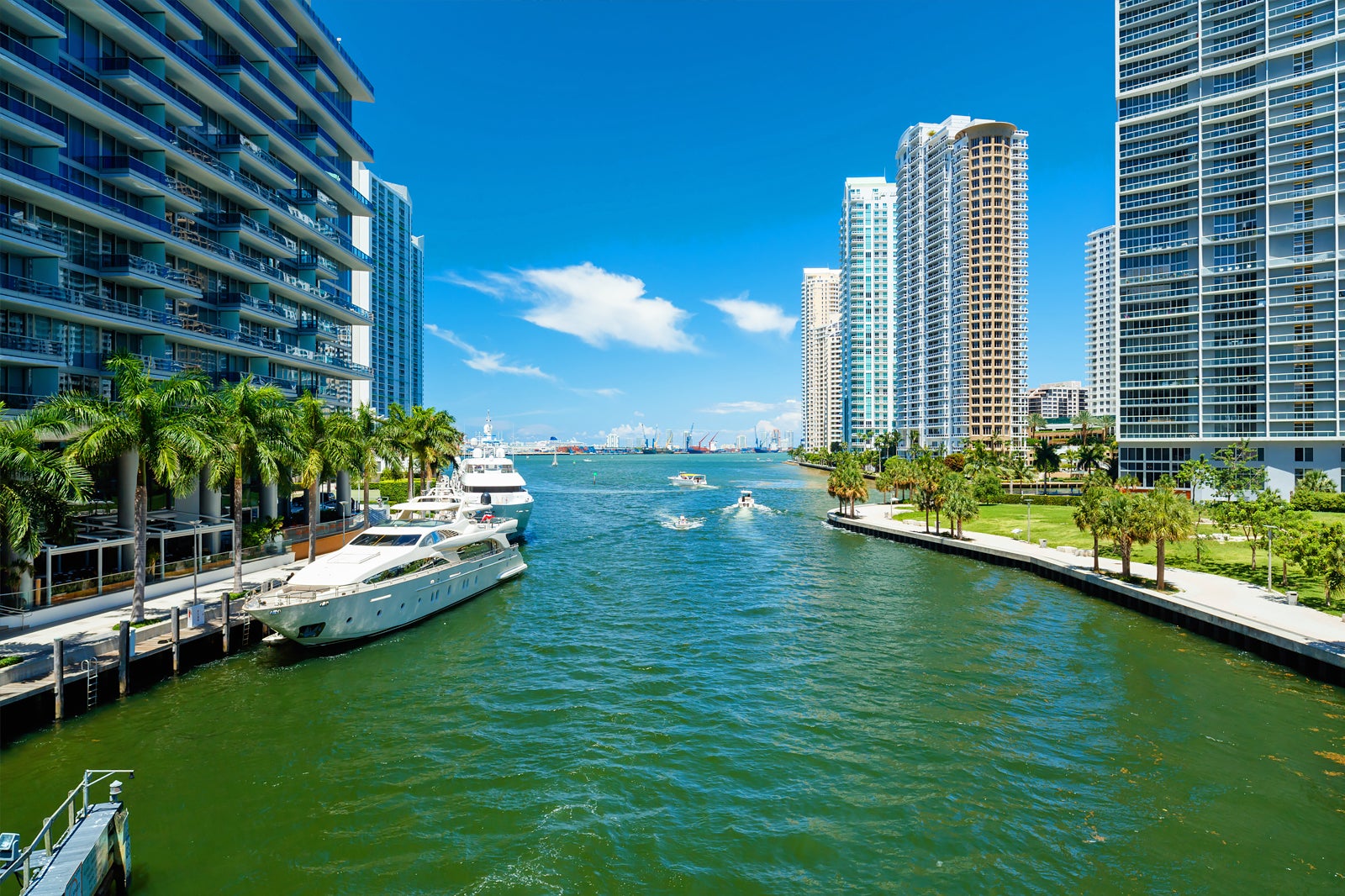 miami river tour