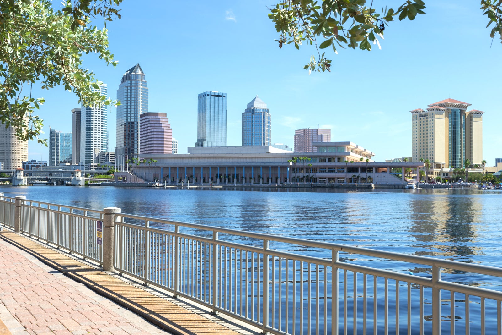 10 Things to Do in Tampa on a Small Budget - Holidays in Tampa Don’t ...