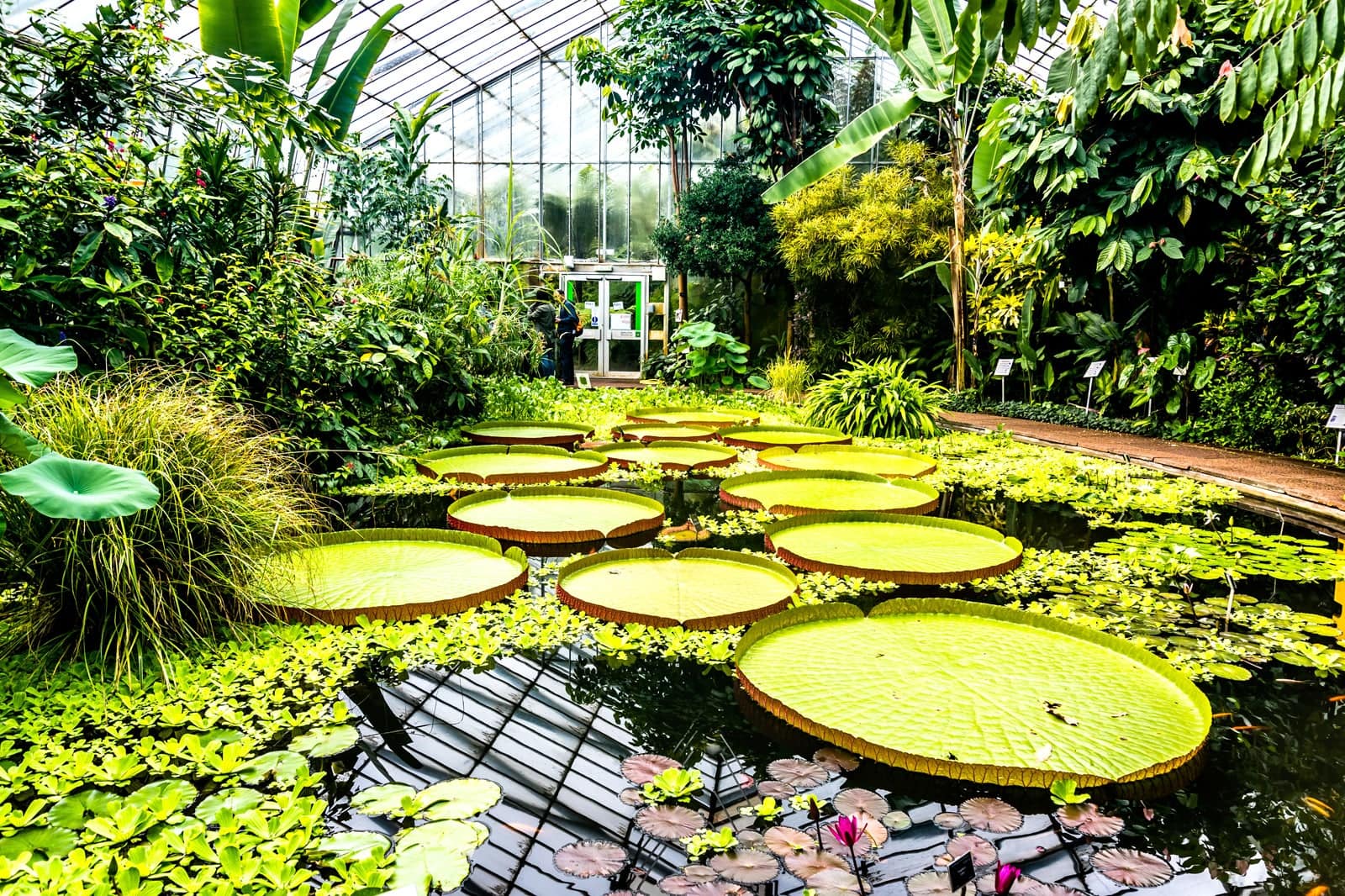 Botanic Rnm Royal Botanic Garden in Edinburgh - Explore Magnificent Gardens and ...