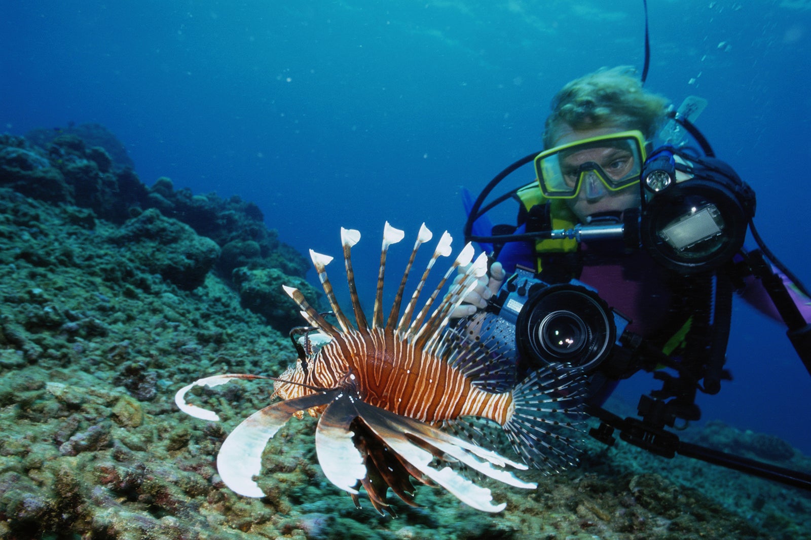 Scuba Diving in Boracay - A Guide to Boracay Diving – Go Guides