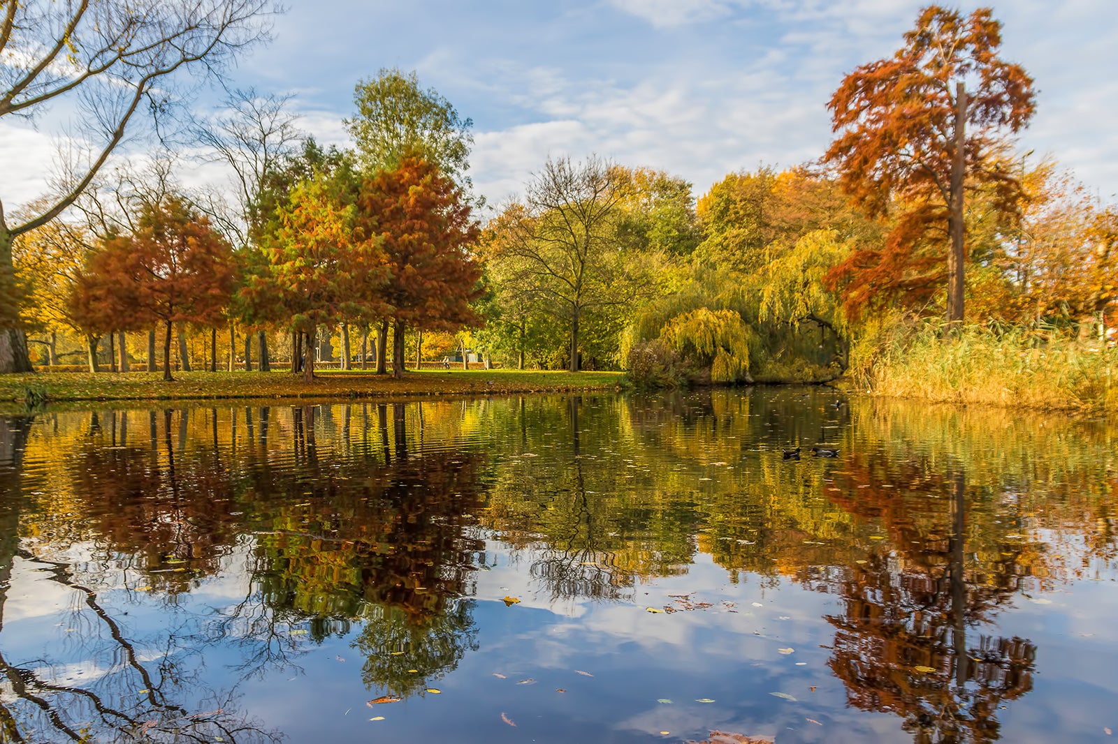 vondelpark amsterdam