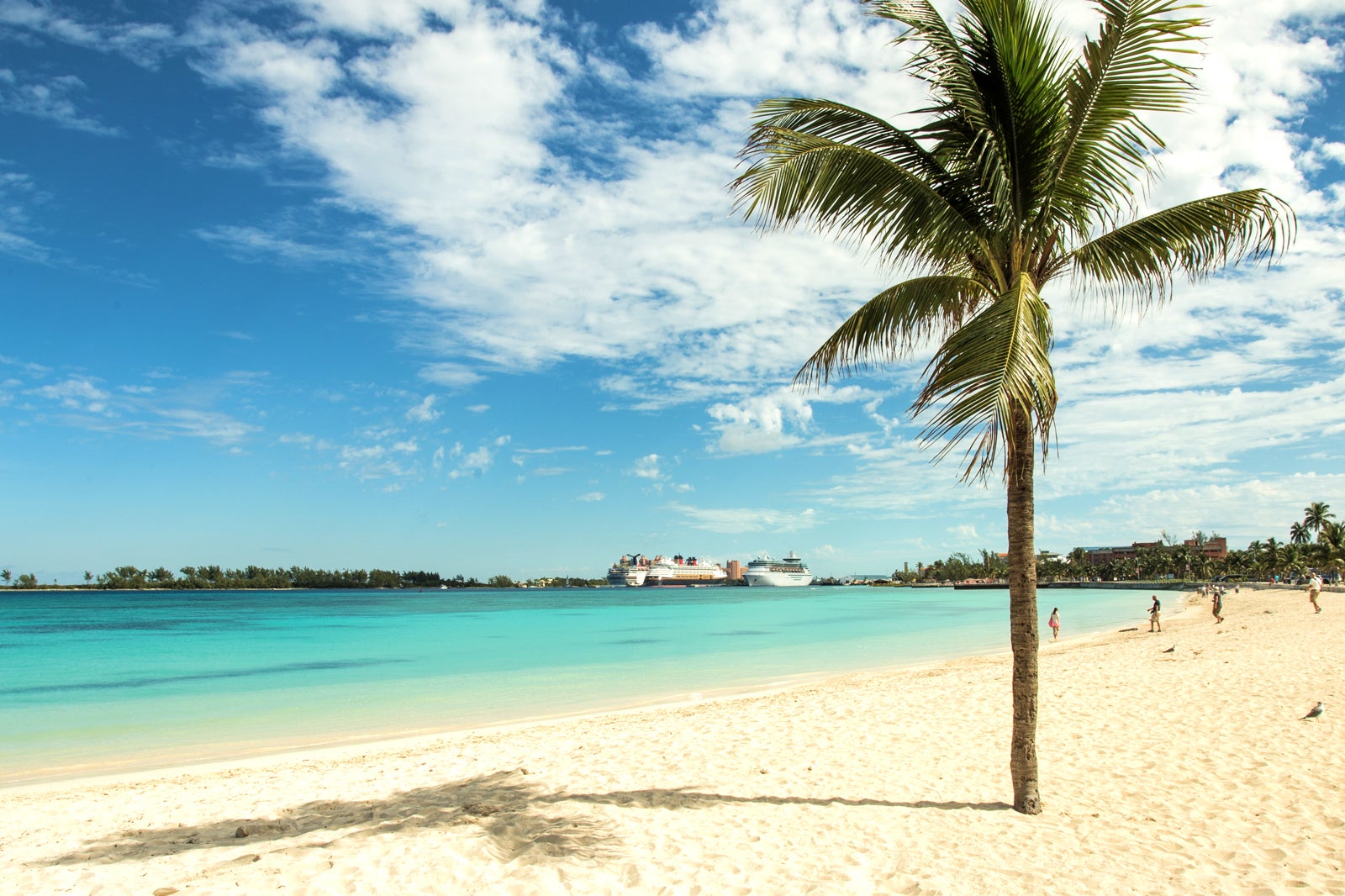 10 Best Beaches In The Bahamas What Is The Most Popular Beach In The 