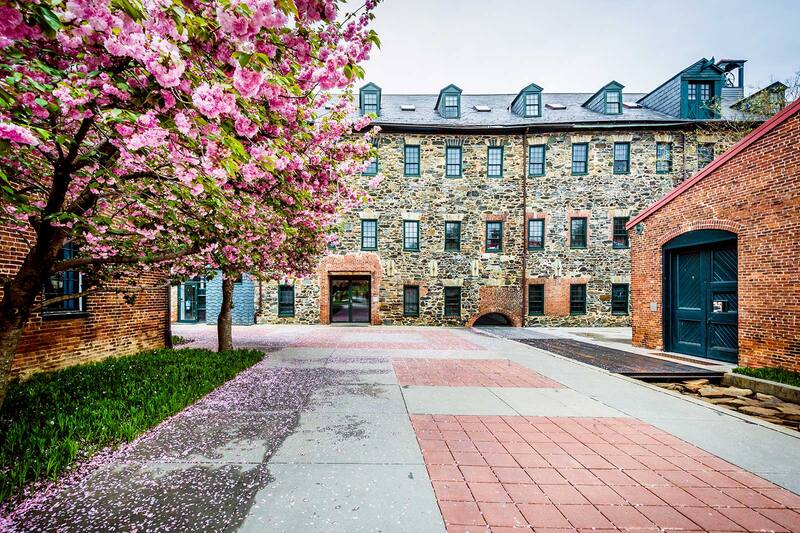 10 Most Popular Neighbourhoods in Baltimore Where to Stay in