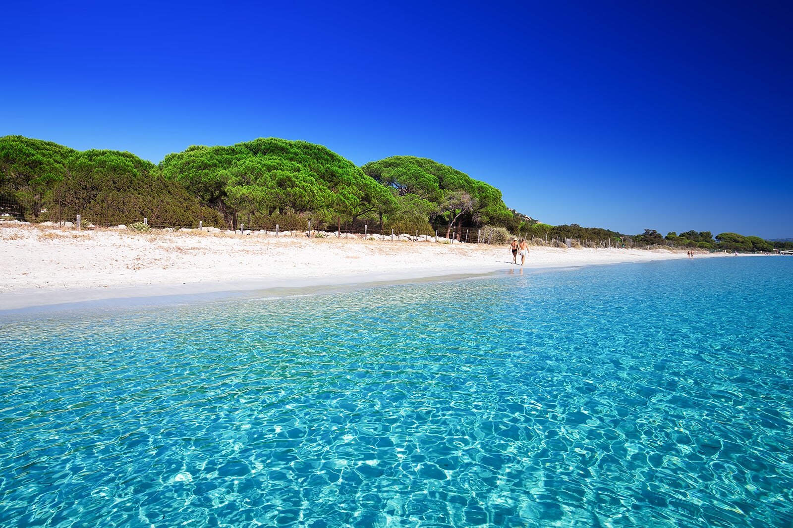 Plage De Palombaggia In Corsica Discover The Beauty Of A Beach Go 