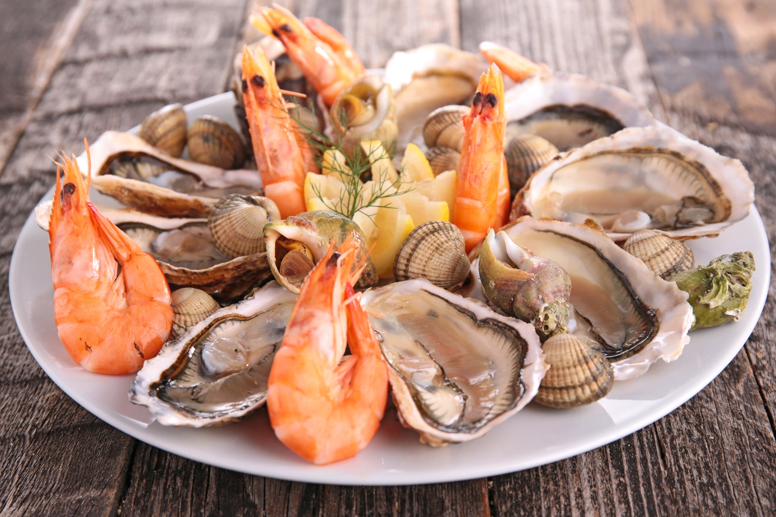 10 Great Restaurants in Fort Lauderdale Where to Eat in Fort