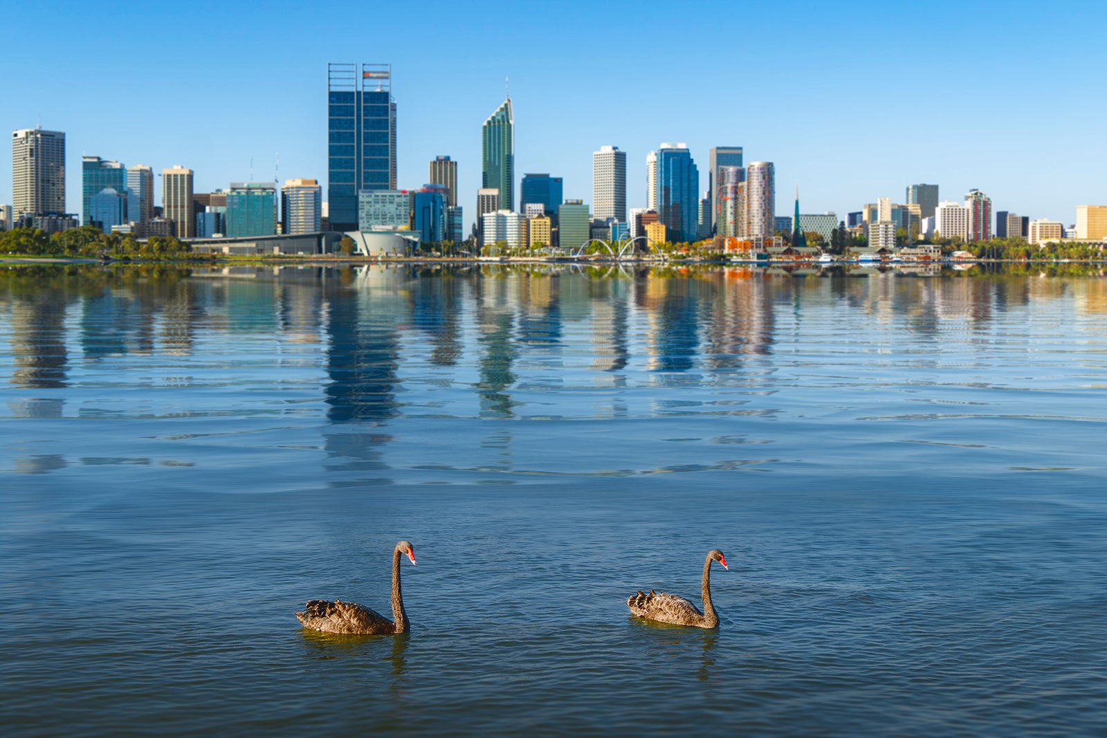 AUSTRALIA] 10 Things To Do In Perth With Family