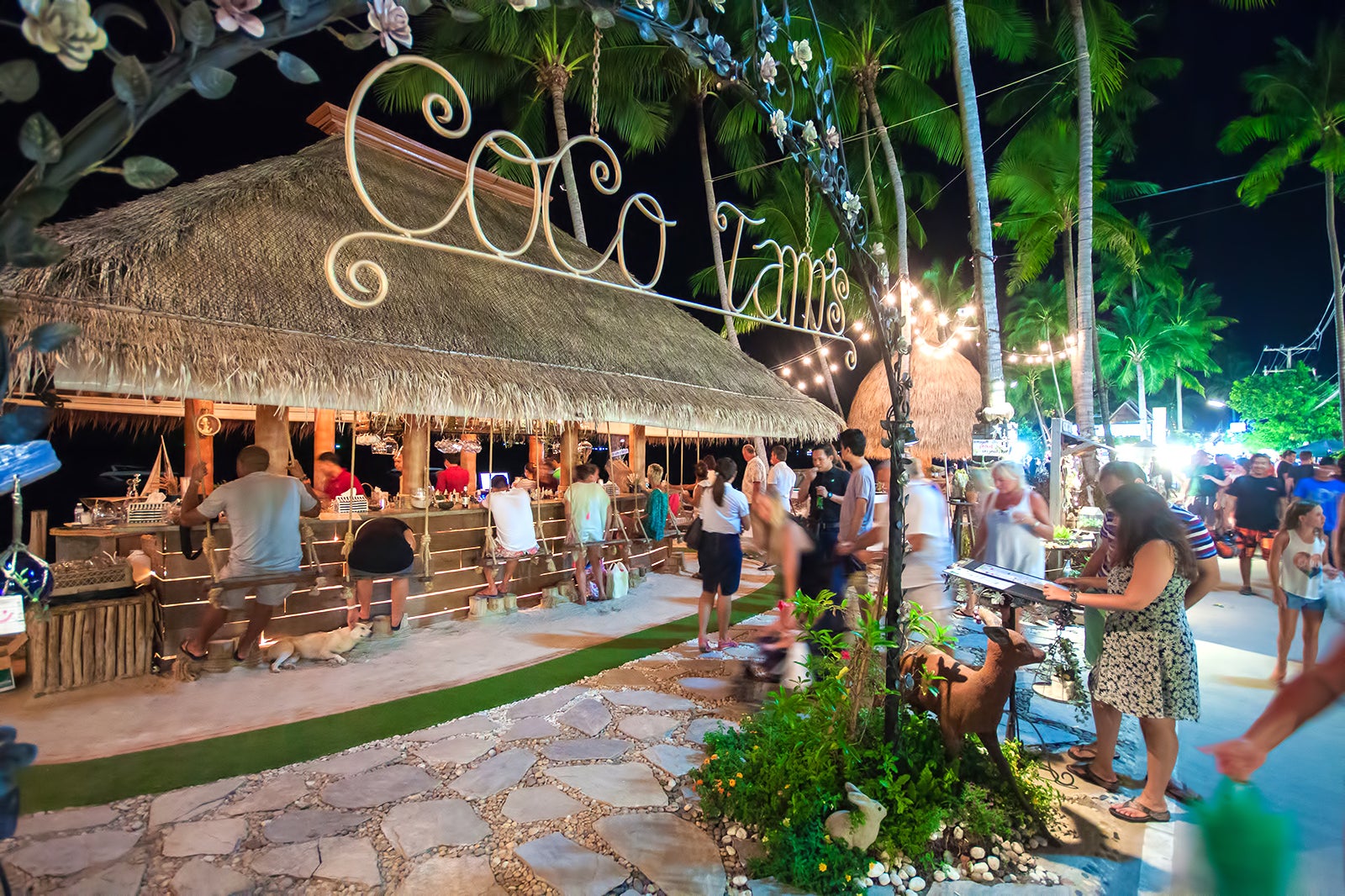 Coco Tams Beach Bar in Koh Samui - A Cozy Nightspot on Bophut Beach – Go  Guides