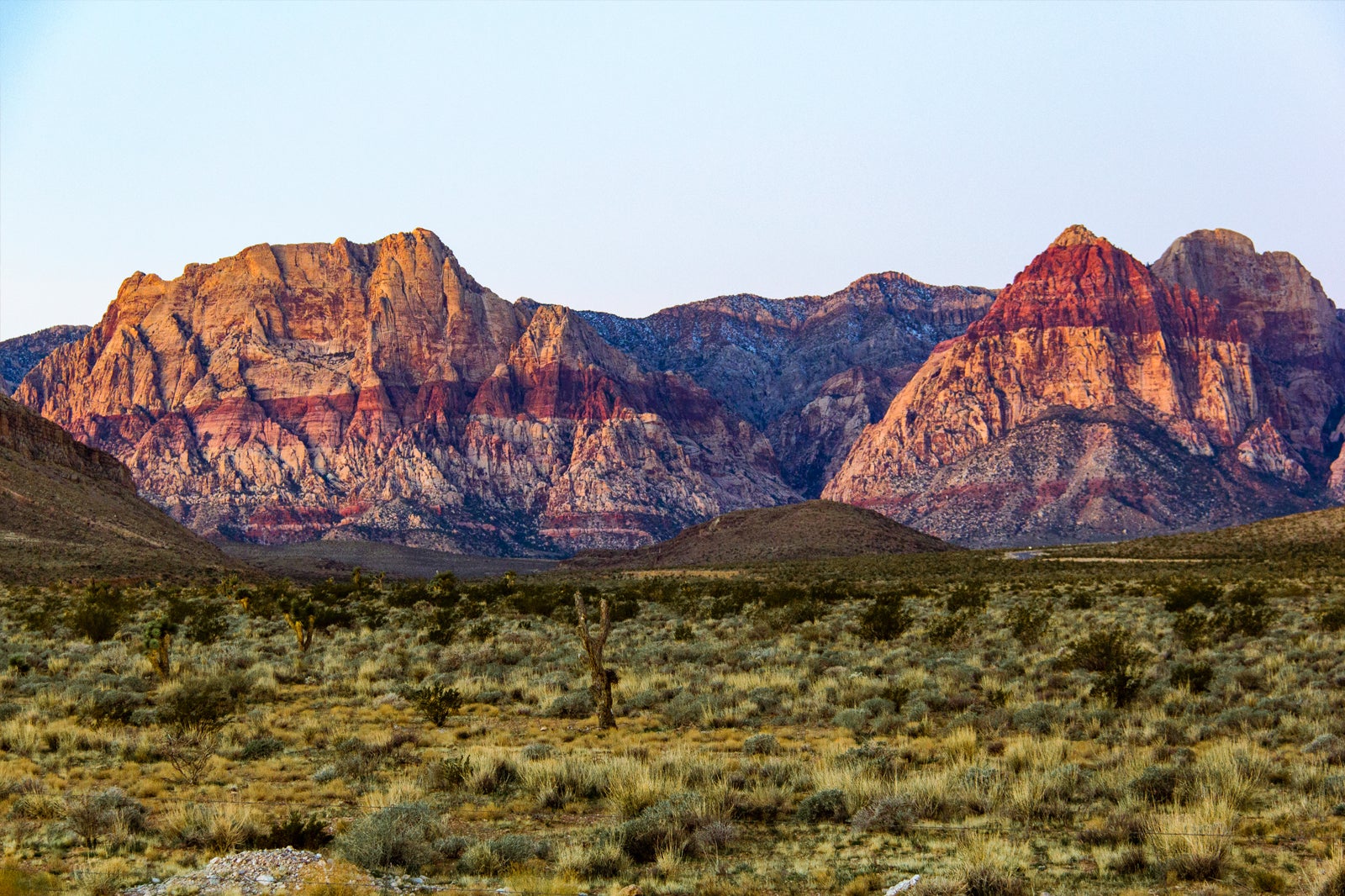 las vegas tours to red rock canyon