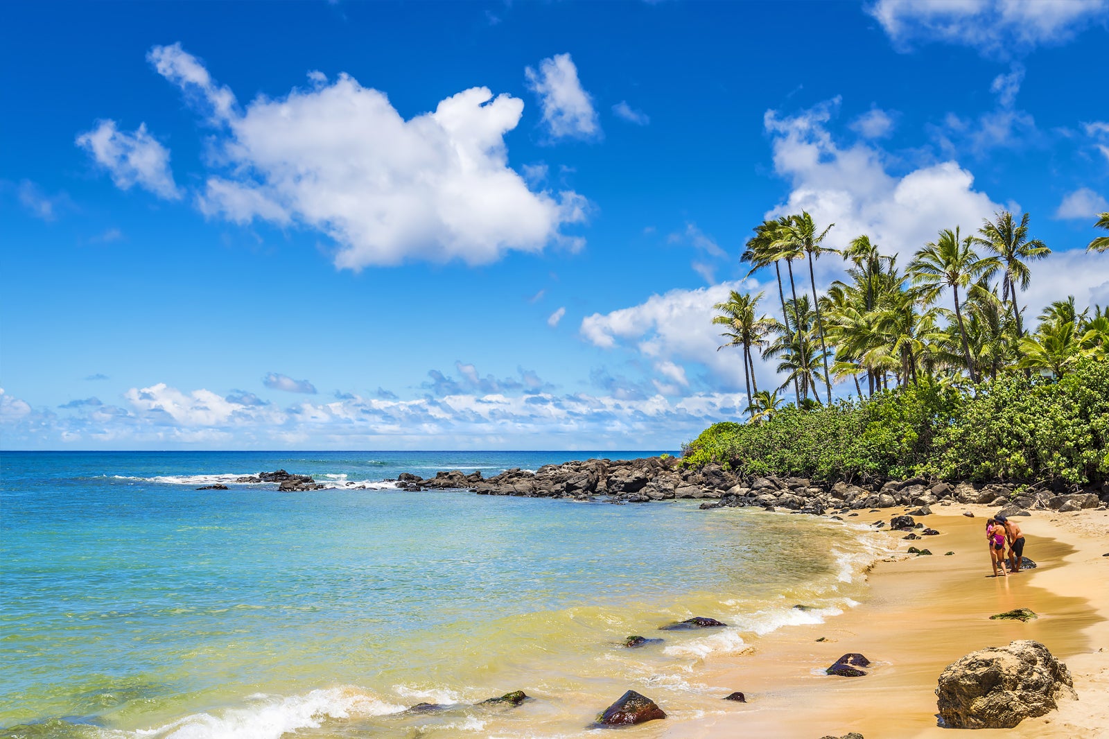 Turtle Beach Head To The North Shore To See Green Sea Turtles In