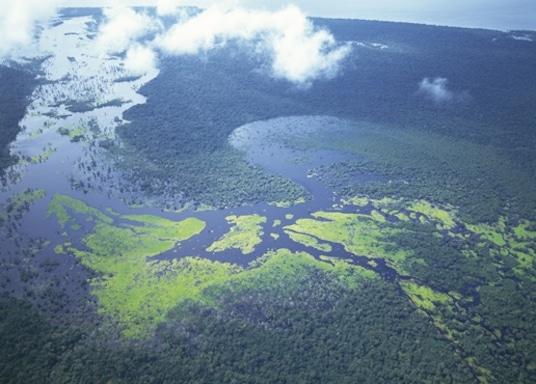 マナウス ムーン ビーチ 周辺のホテル 宿泊予約 格安ホテル予約 最安値検索 ホテルズドットコム マナウス ムーン ビーチ 周辺のホテル 宿泊予約 格安ホテル予約 最安値検索 ホテルズドットコム