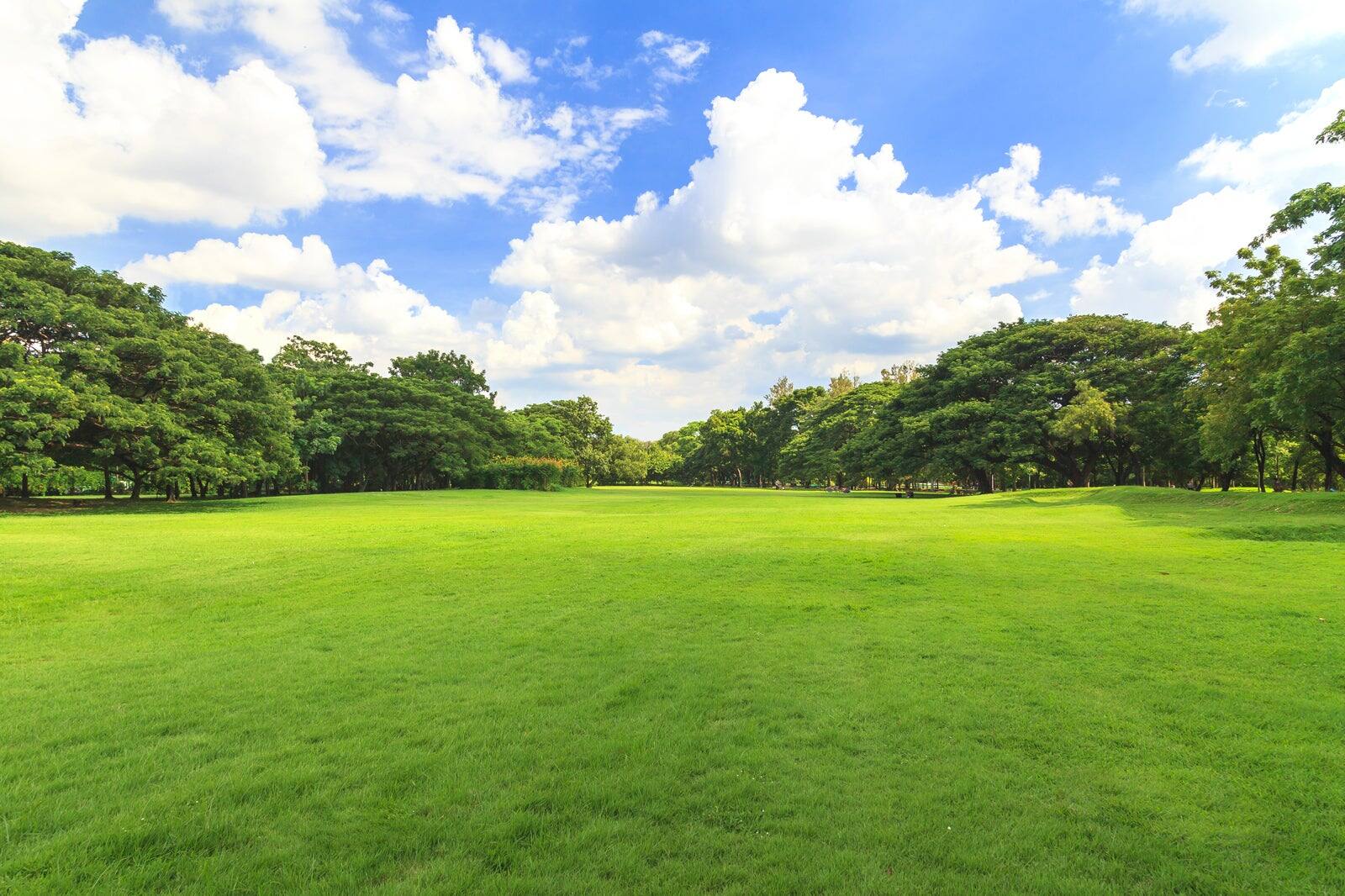 Beijers park i Malmö En park med anor i östra Malmö Go Guides