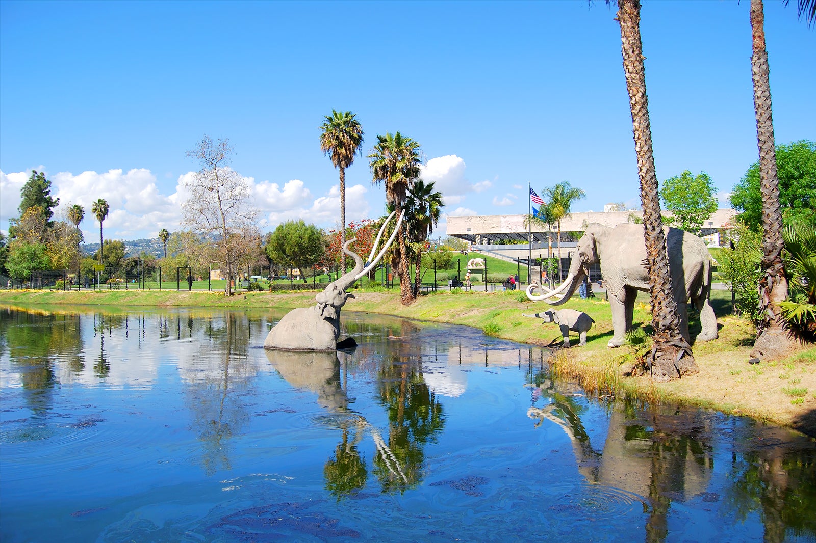 La Brea Tar Pits And Museum Tour