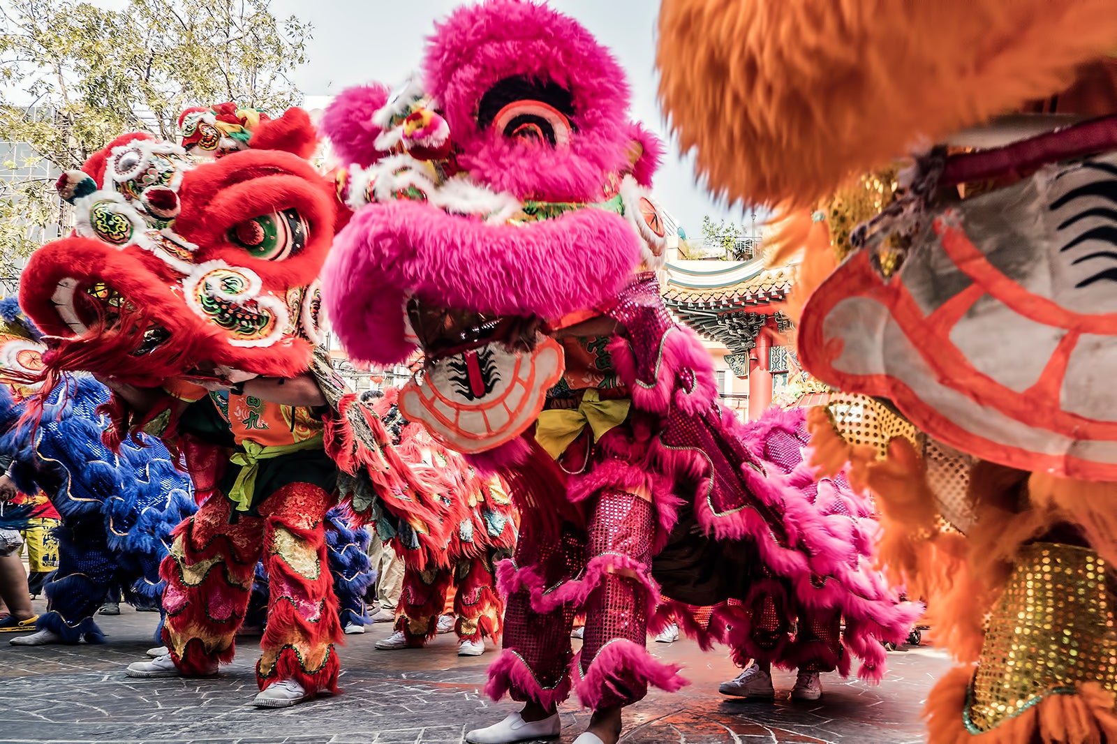 Chinese New Year in Bangkok - Watch Lion Dances and Firecrackers