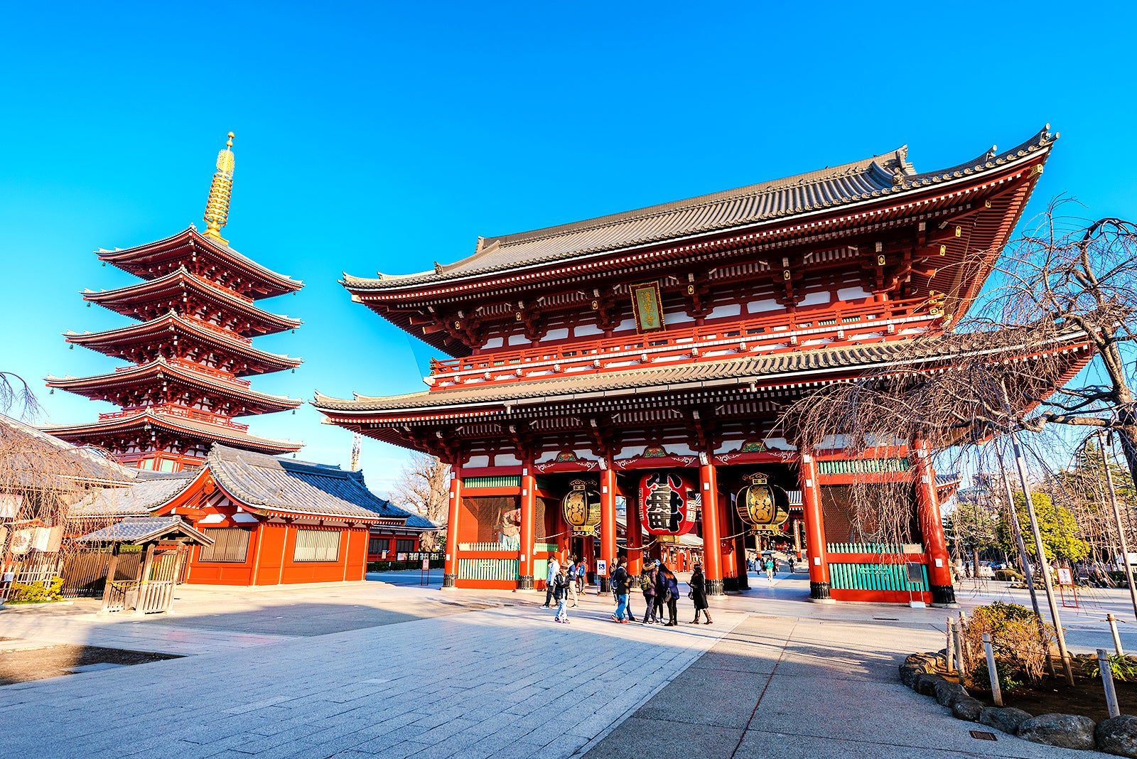 tokyo temple tour