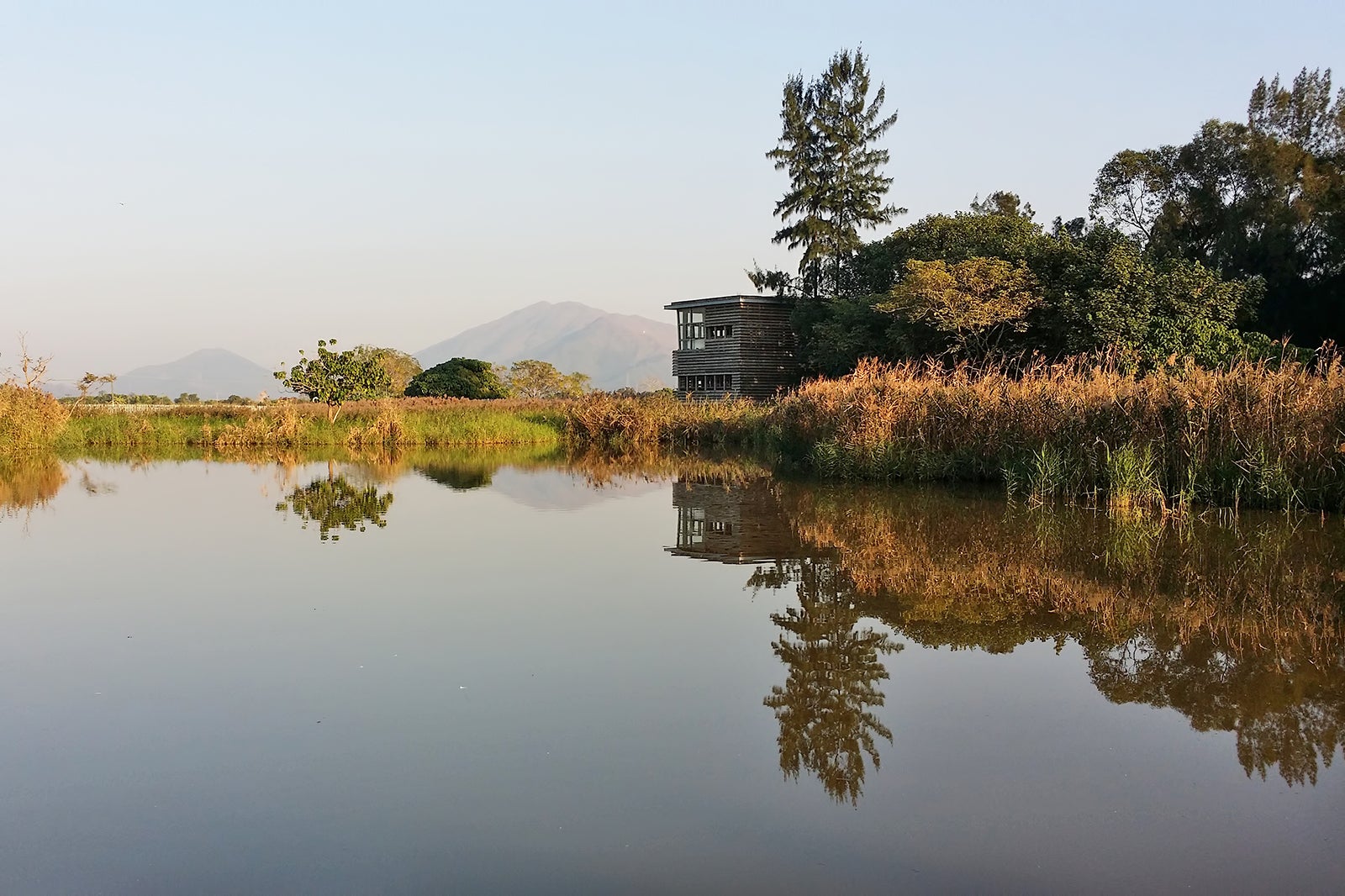 Hong Kong Wetland Park - New Territories Attractions - Go Guides