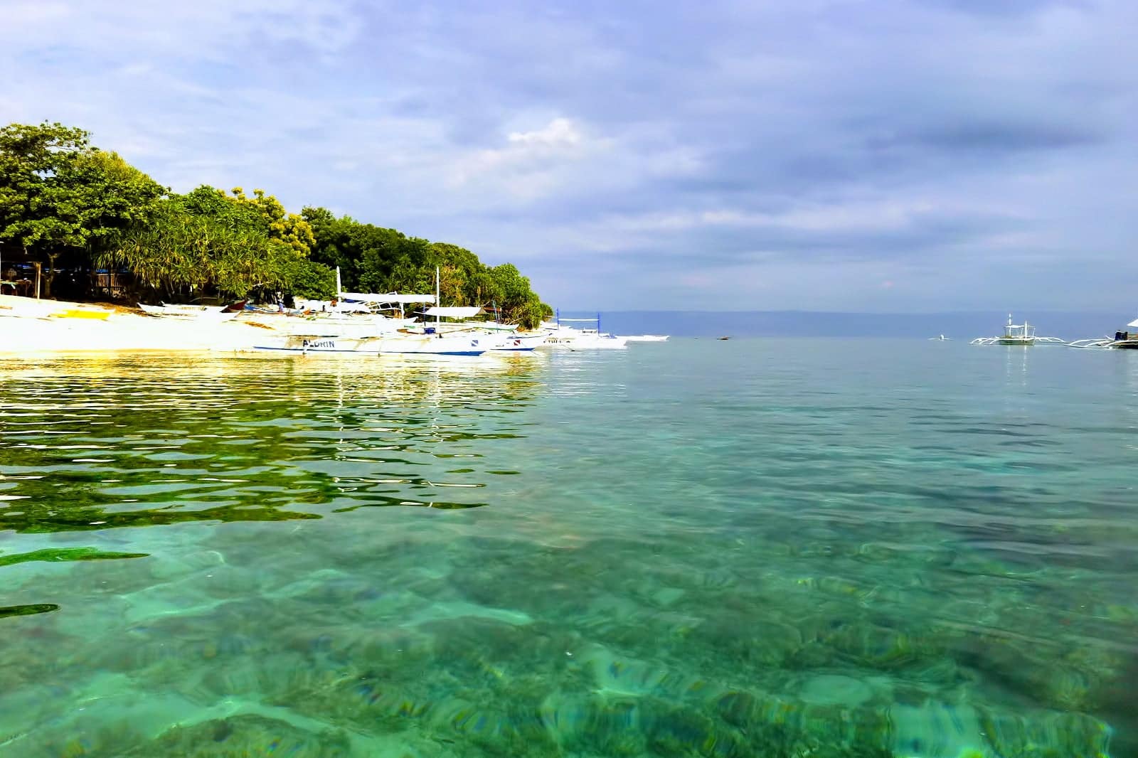 15 Best Things to do in Bohol Island - What is Bohol Island Most Famous ...