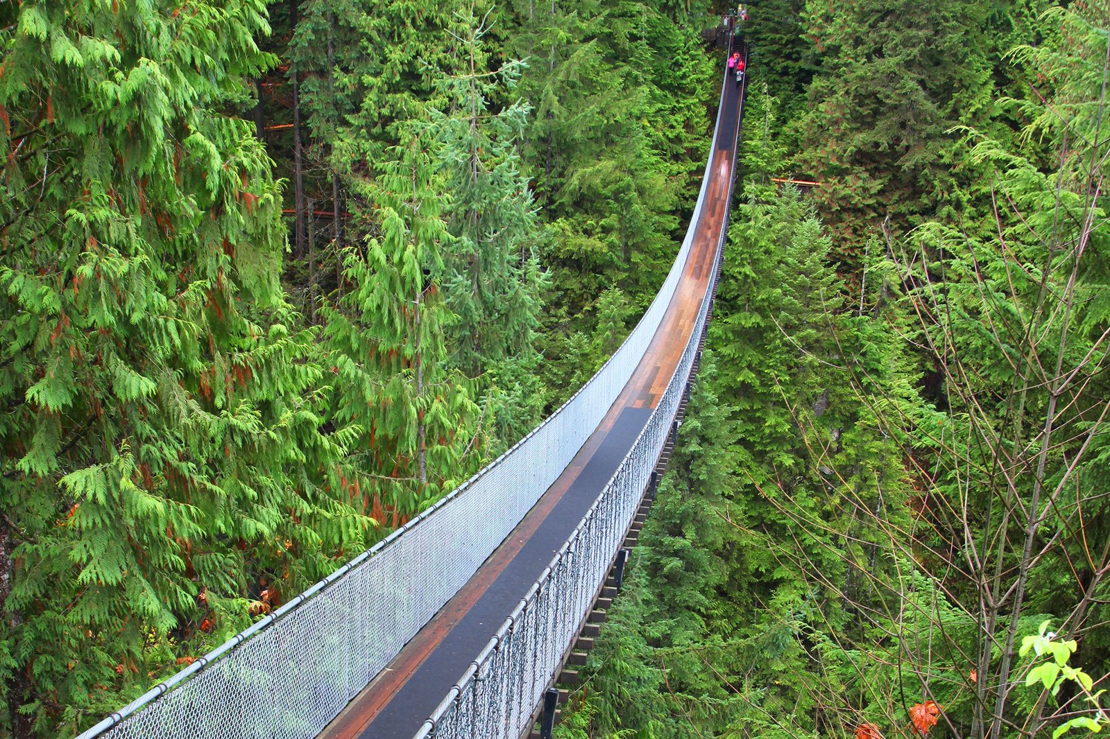 North Vancouver Activities Today