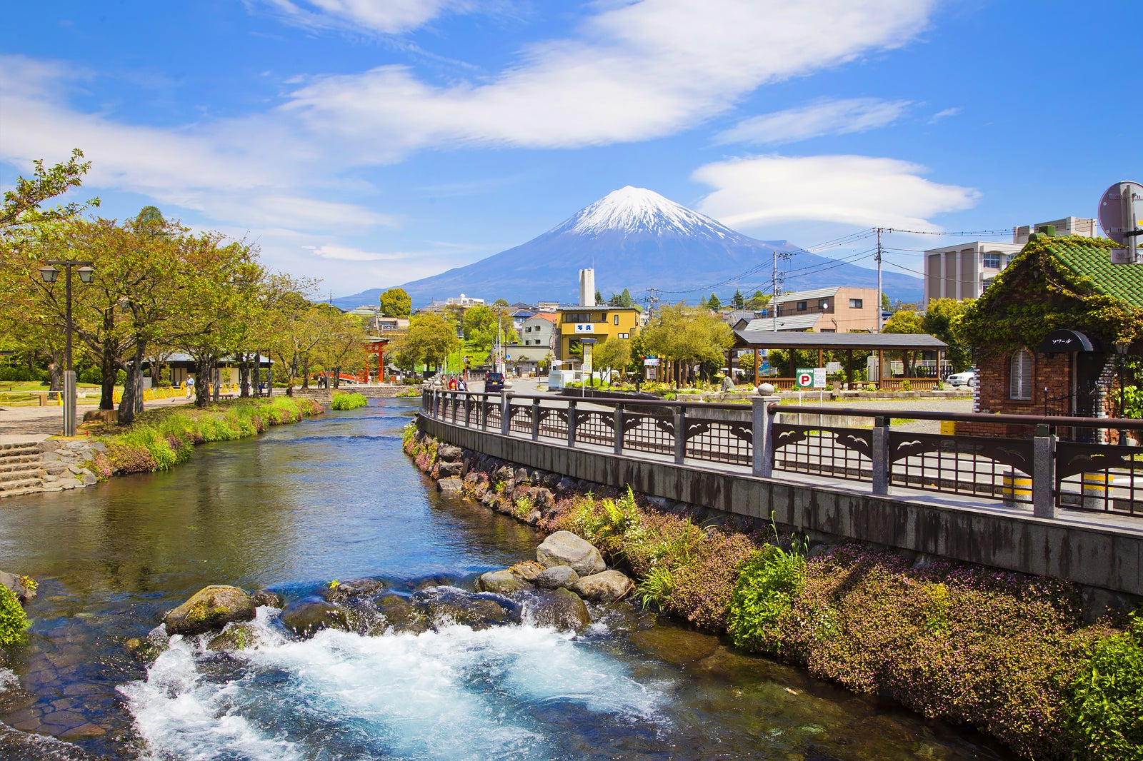 茨城県 21世紀枠