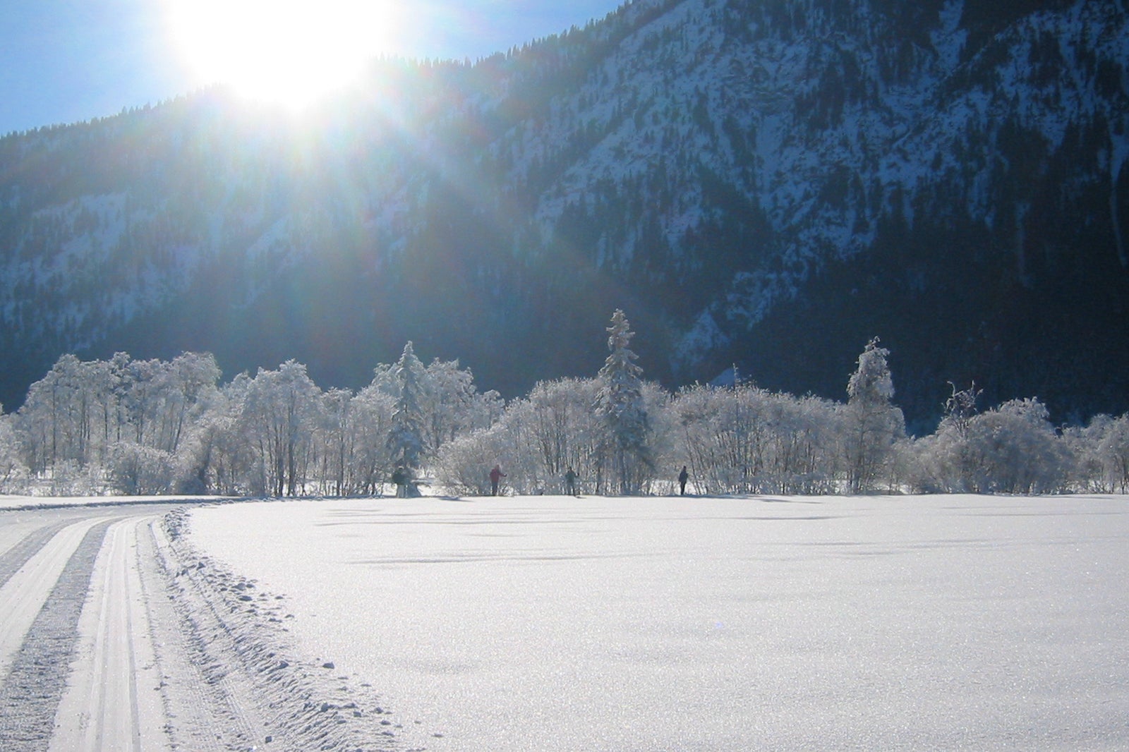 10 Best Things to Do in the German Alps - What are the German Alps Most ...