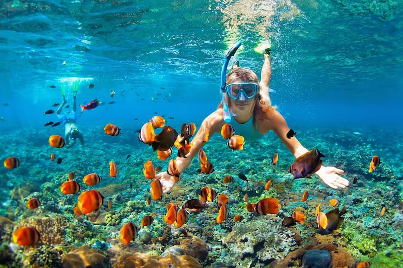 Phi Phi Islands
