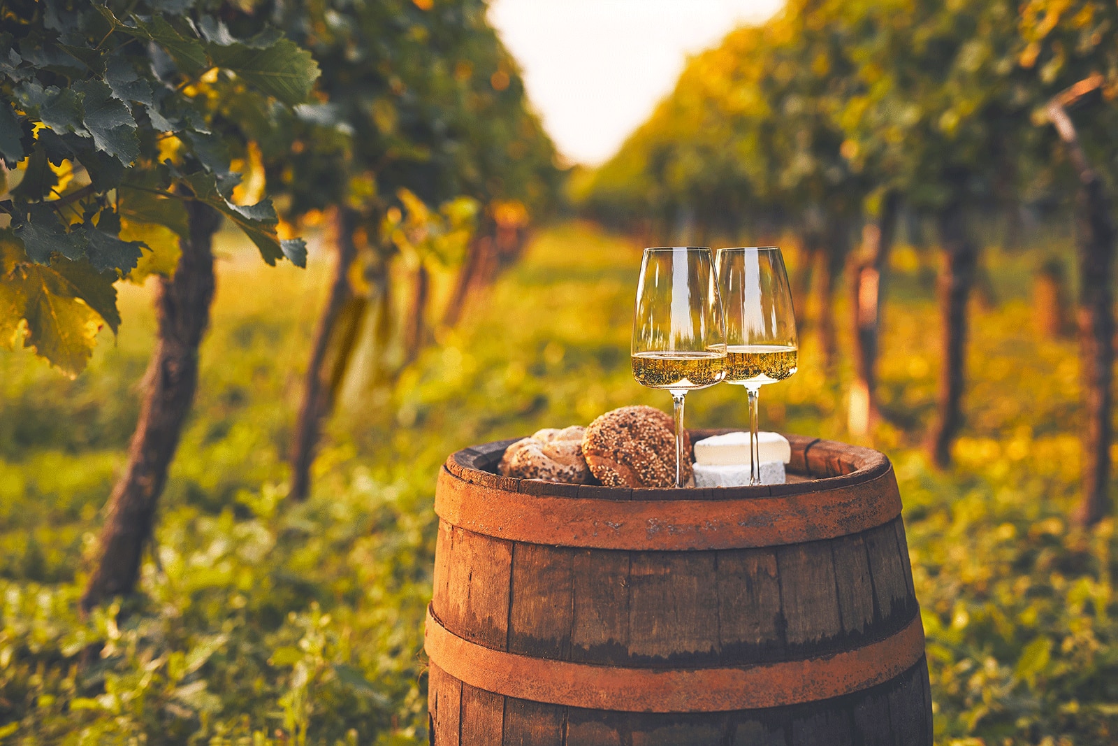 10 Great Restaurants in Jacksonville Where to Eat in Jacksonville and