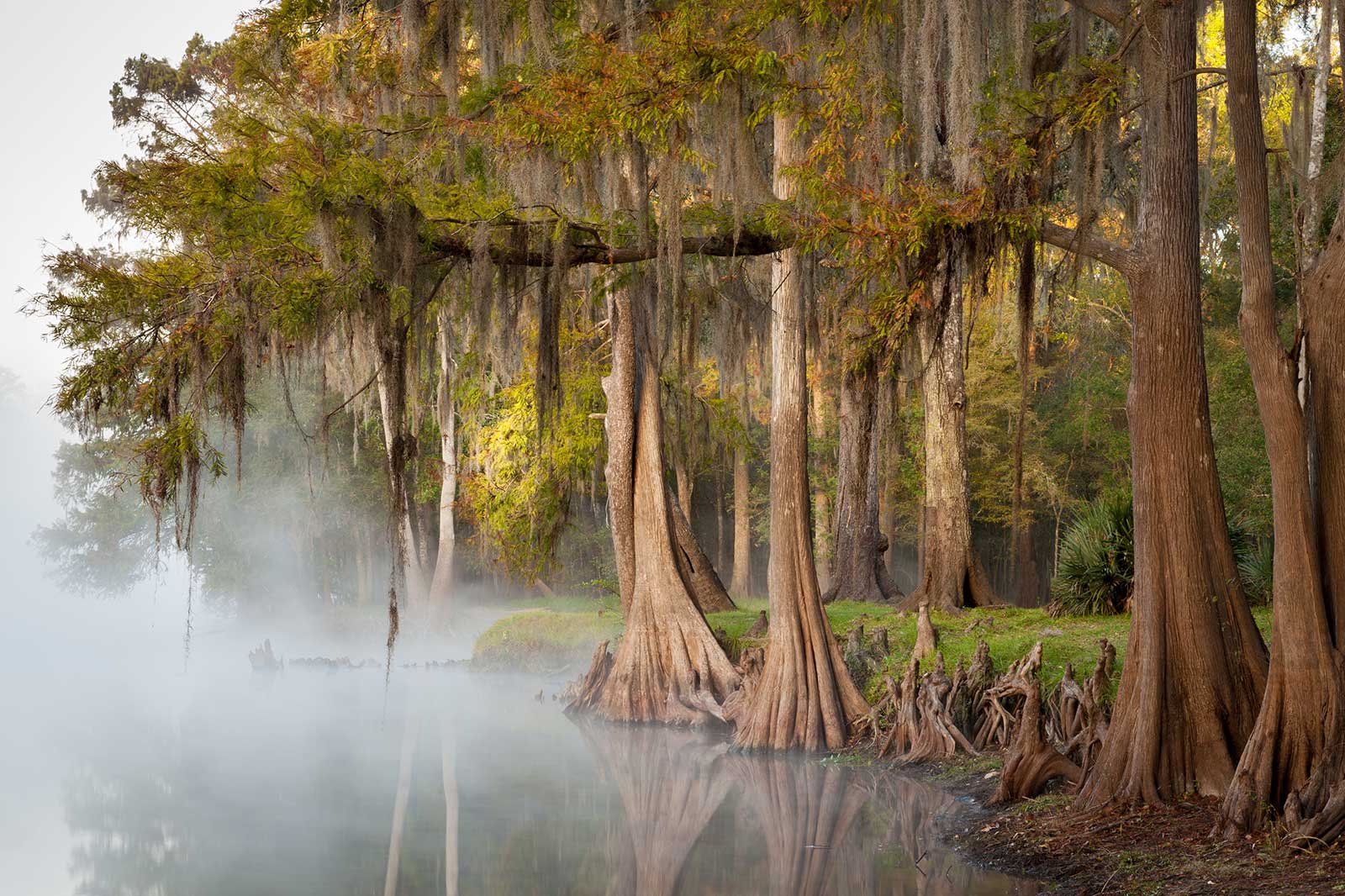 10 Best Gardens and Parks in Jacksonville Explore Jacksonville’s Most