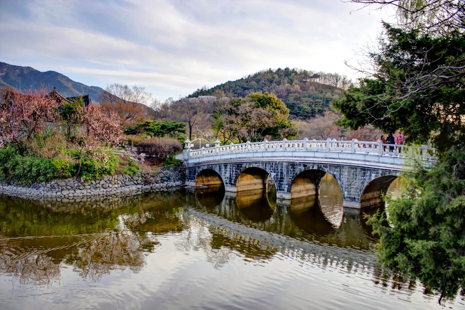 14 Best Things to Do in Daegu - What is Daegu Most Famous For? – Go Guides