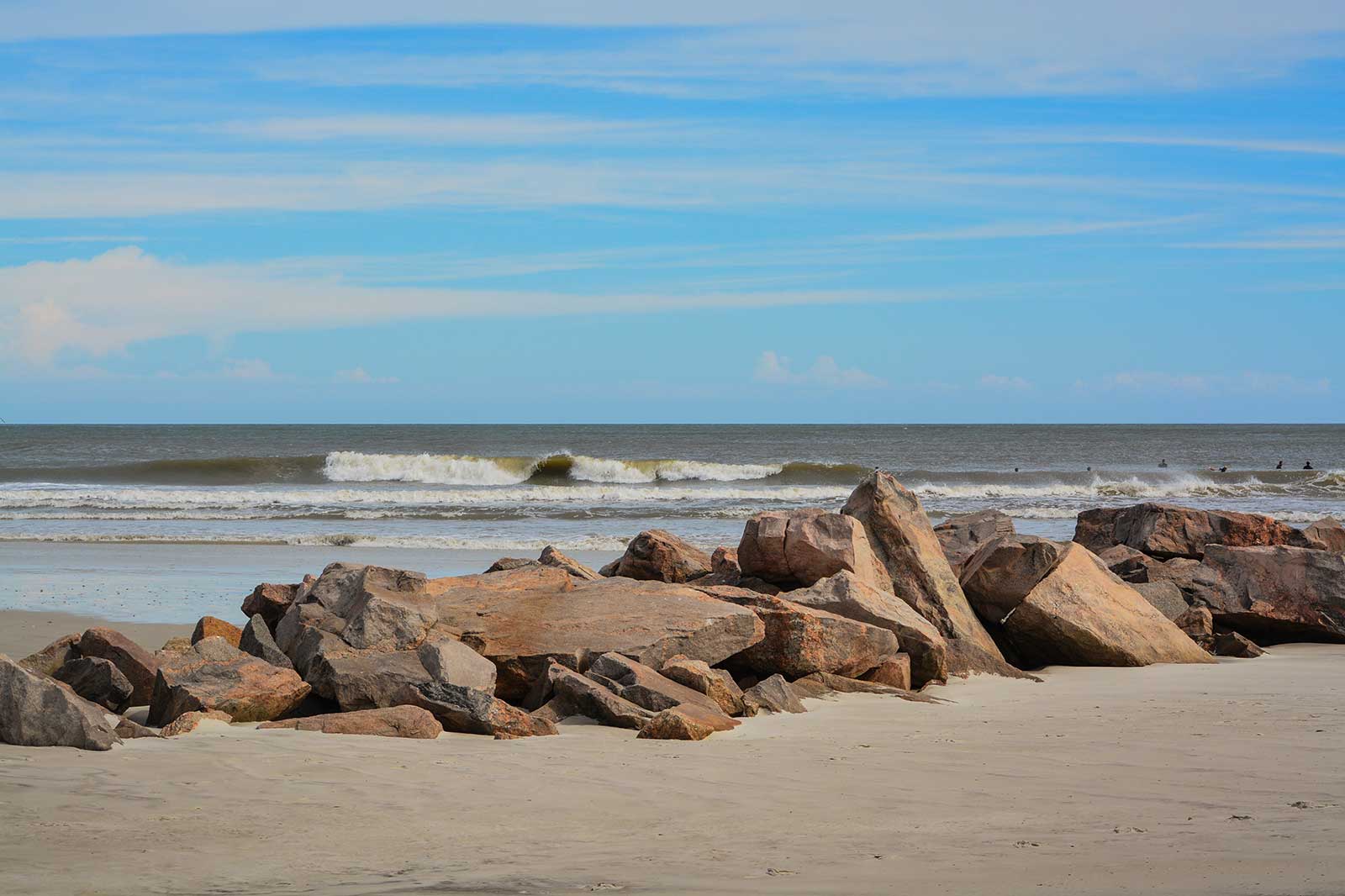 10 Best Gardens and Parks in Jacksonville Explore Jacksonville’s Most