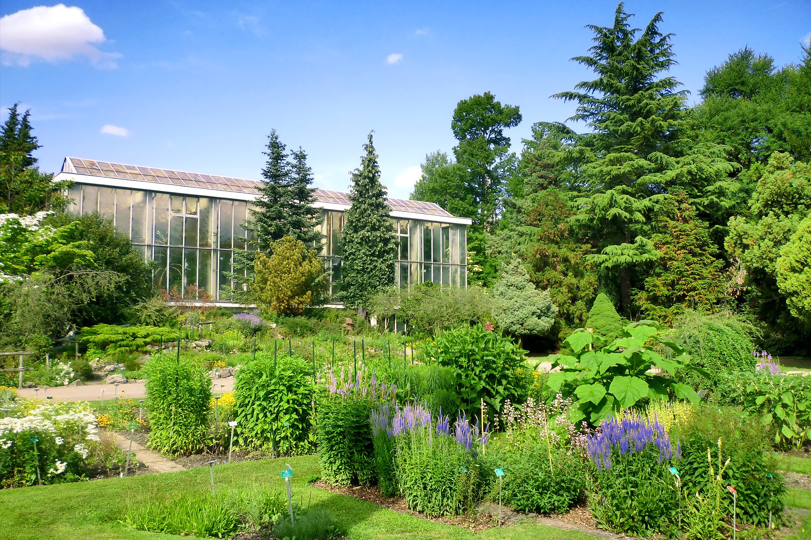  Explore the Garden City Centennials Travel: A Journey Through Time and Nature