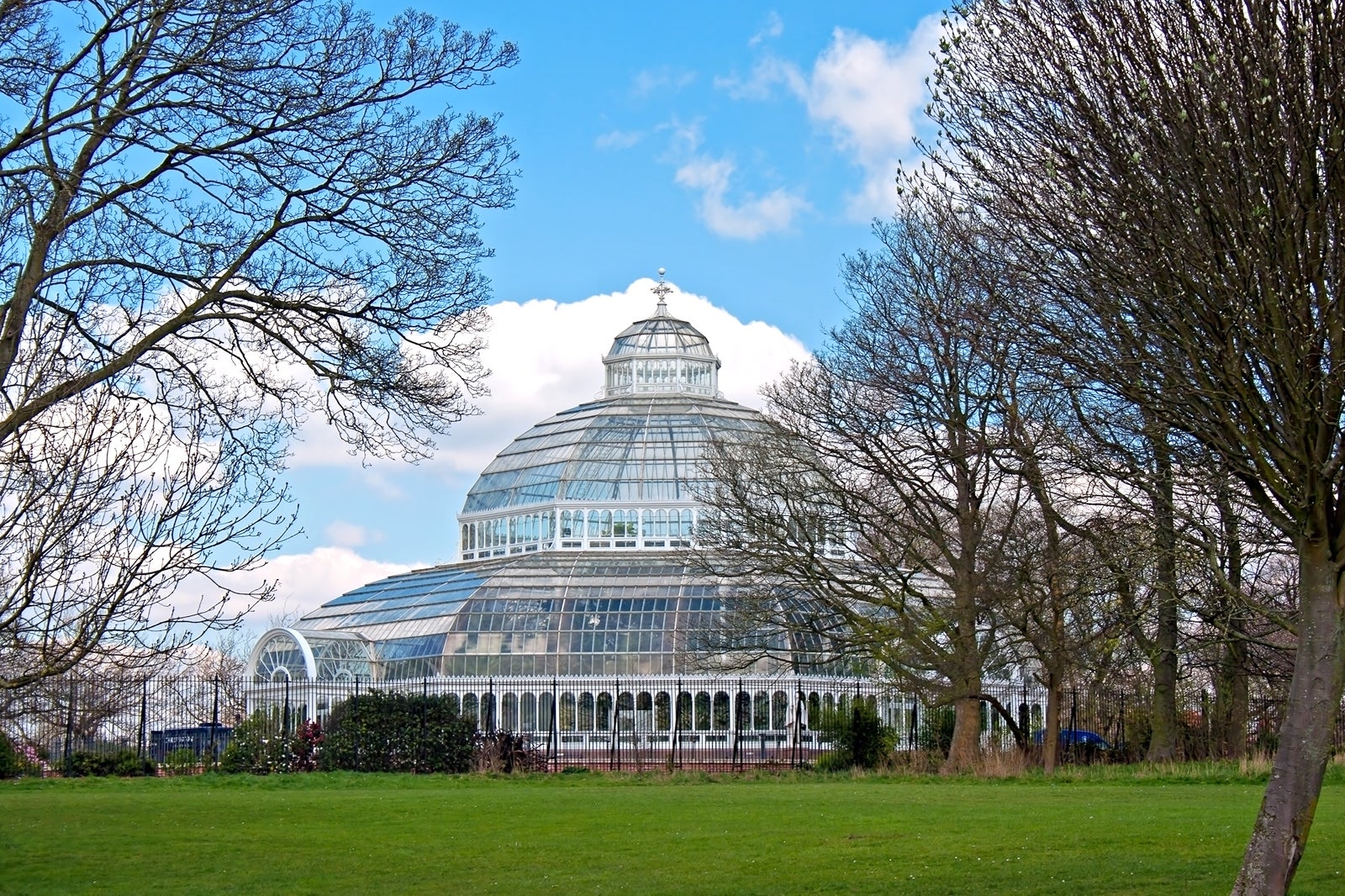 The Palm House Liverpool’s Beloved Sefton Park Conservatory Go Guides