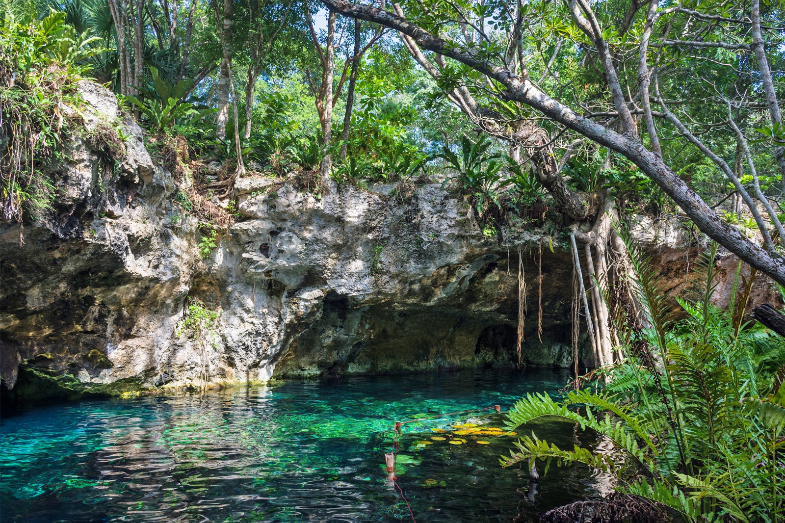 From Swimming to Scuba Diving: Experience the Beauty of Tulum's Cenotes ...