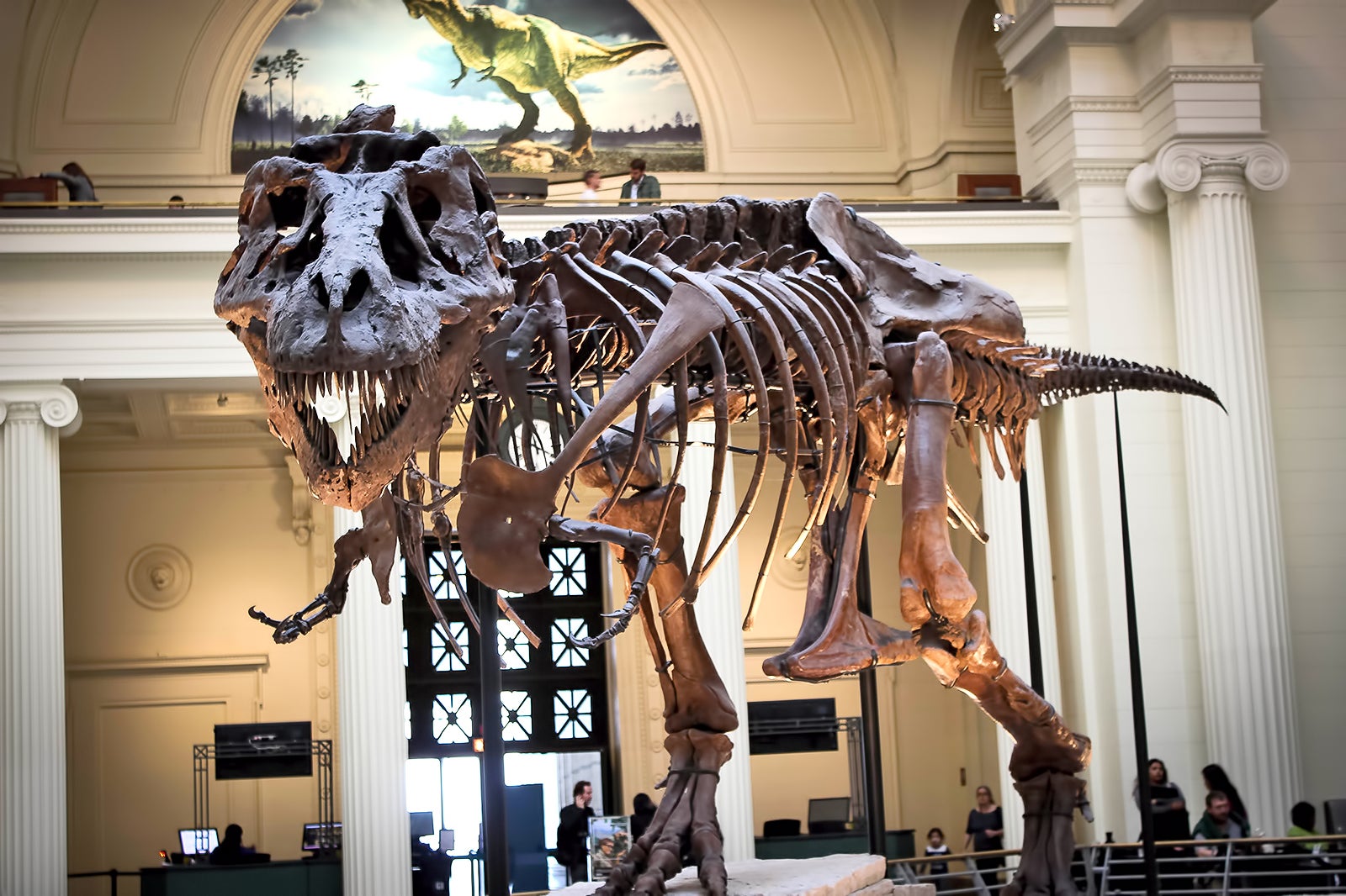 history of chicago field museum